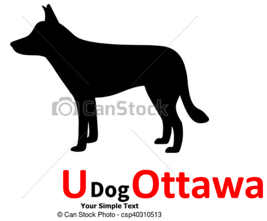 dogs resized.png