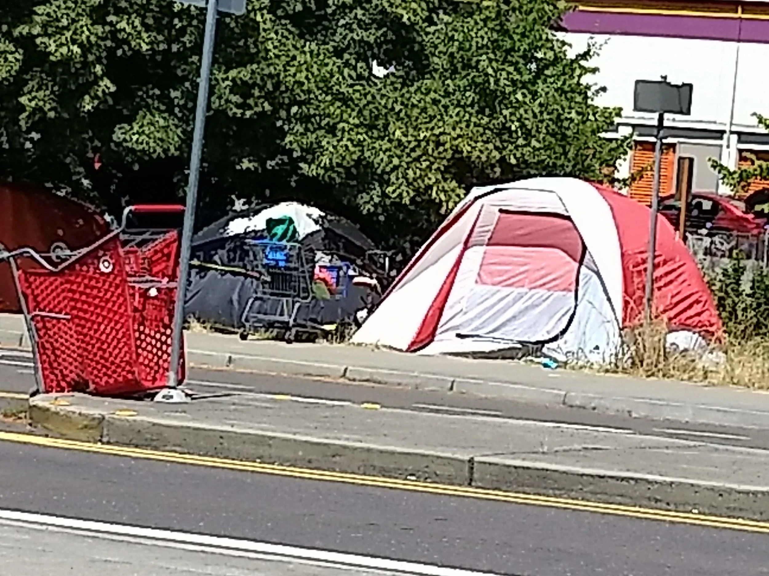 IMG_20180703_125046306.jpg