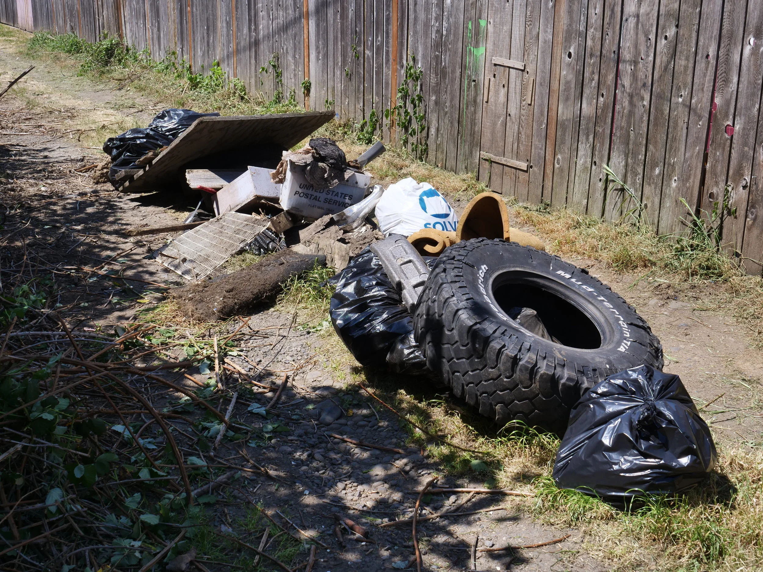 Renee's Alley Cleanup
