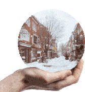 LNLA Monthly Meeting