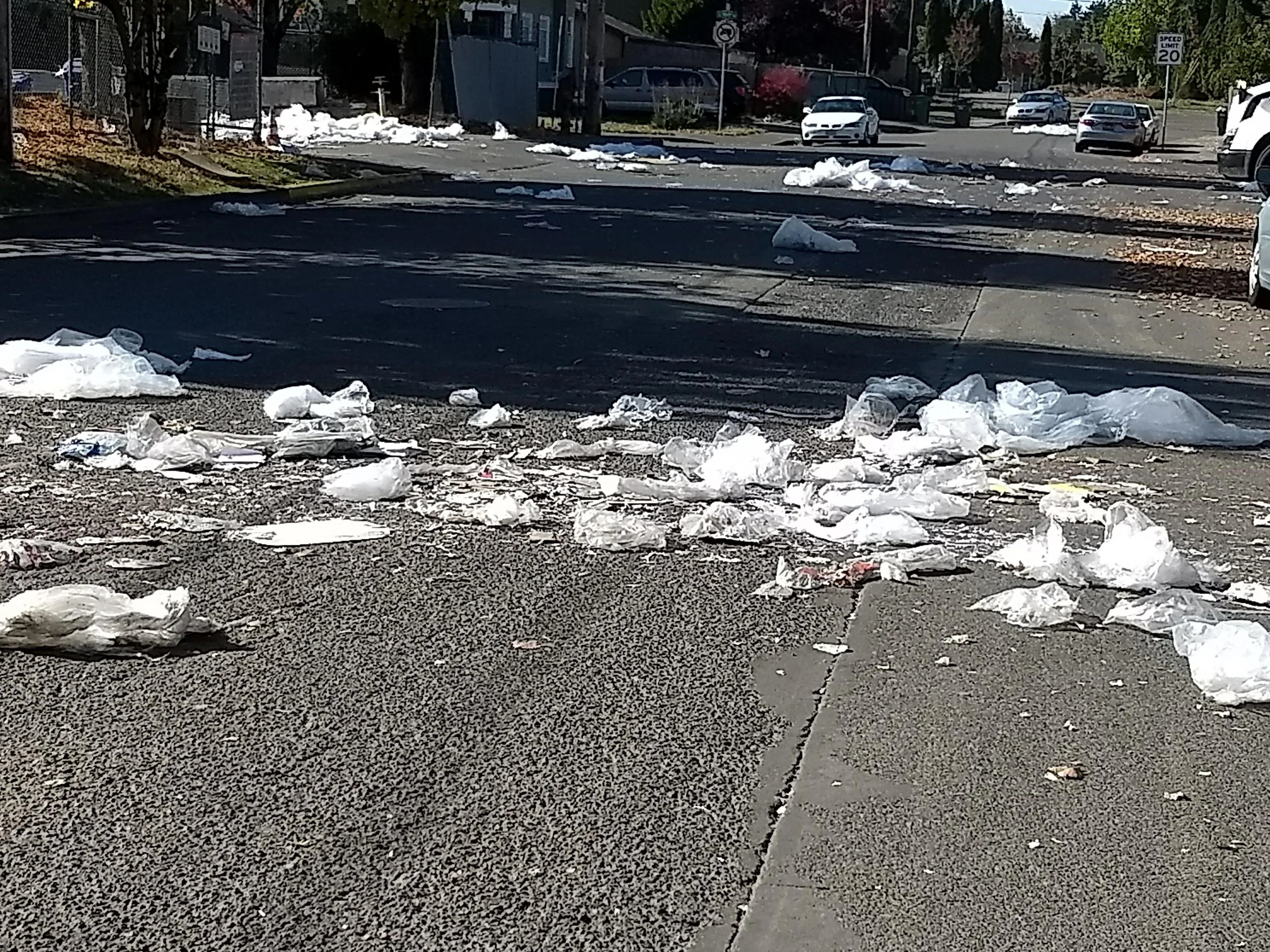WestRock Cleanup