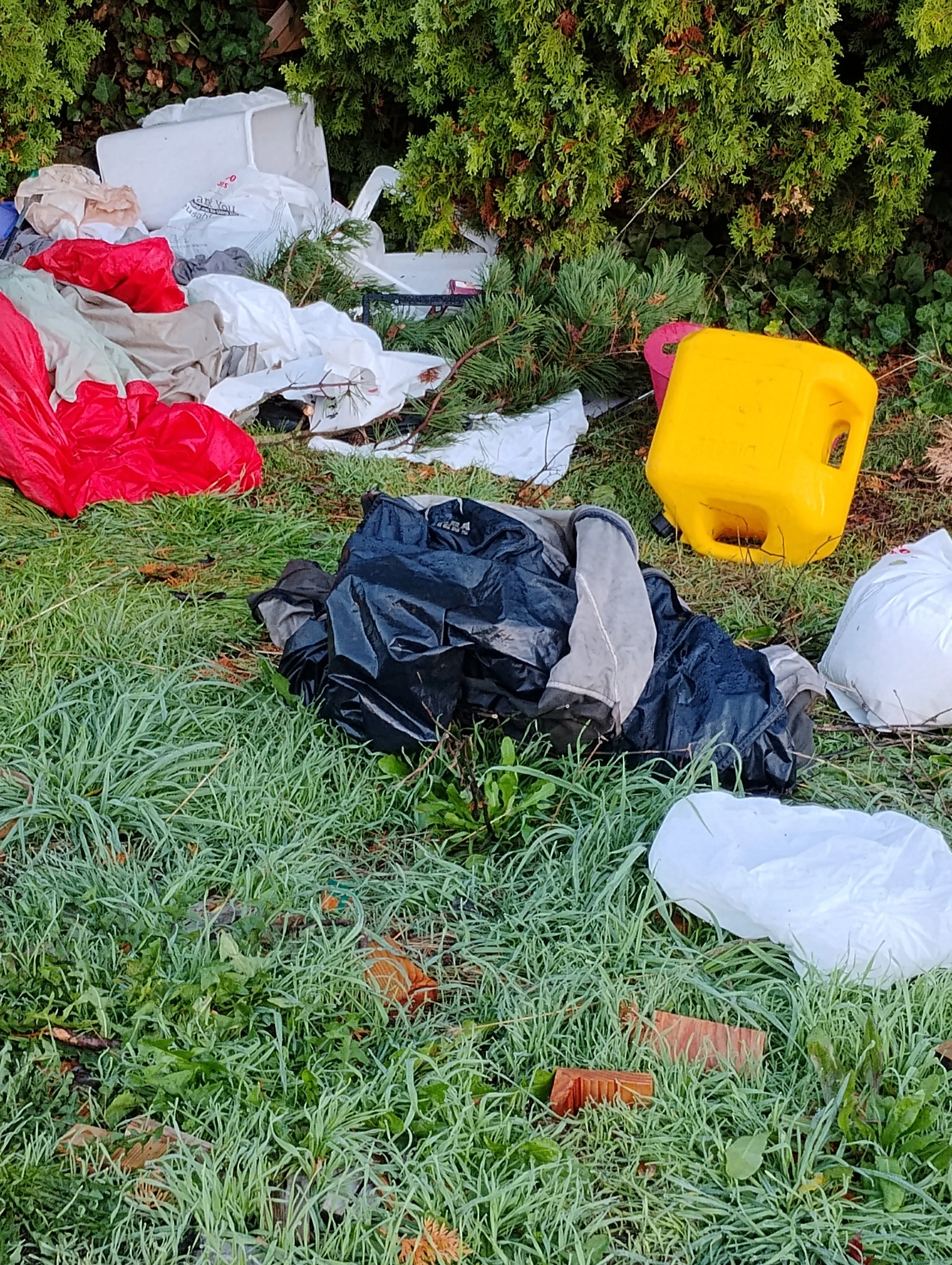 WestRock Cleanup