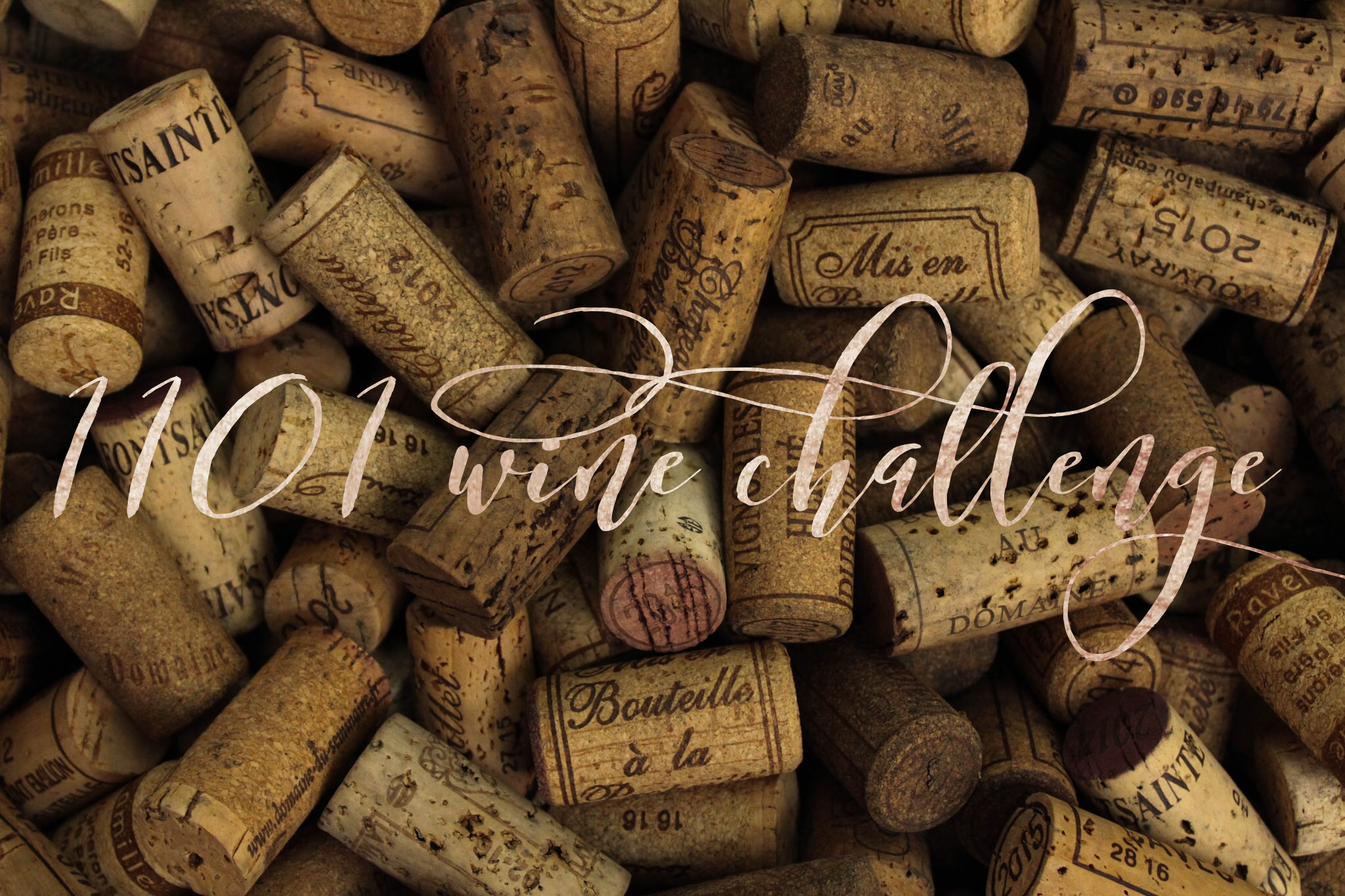 The 1101 Wine Challenge
