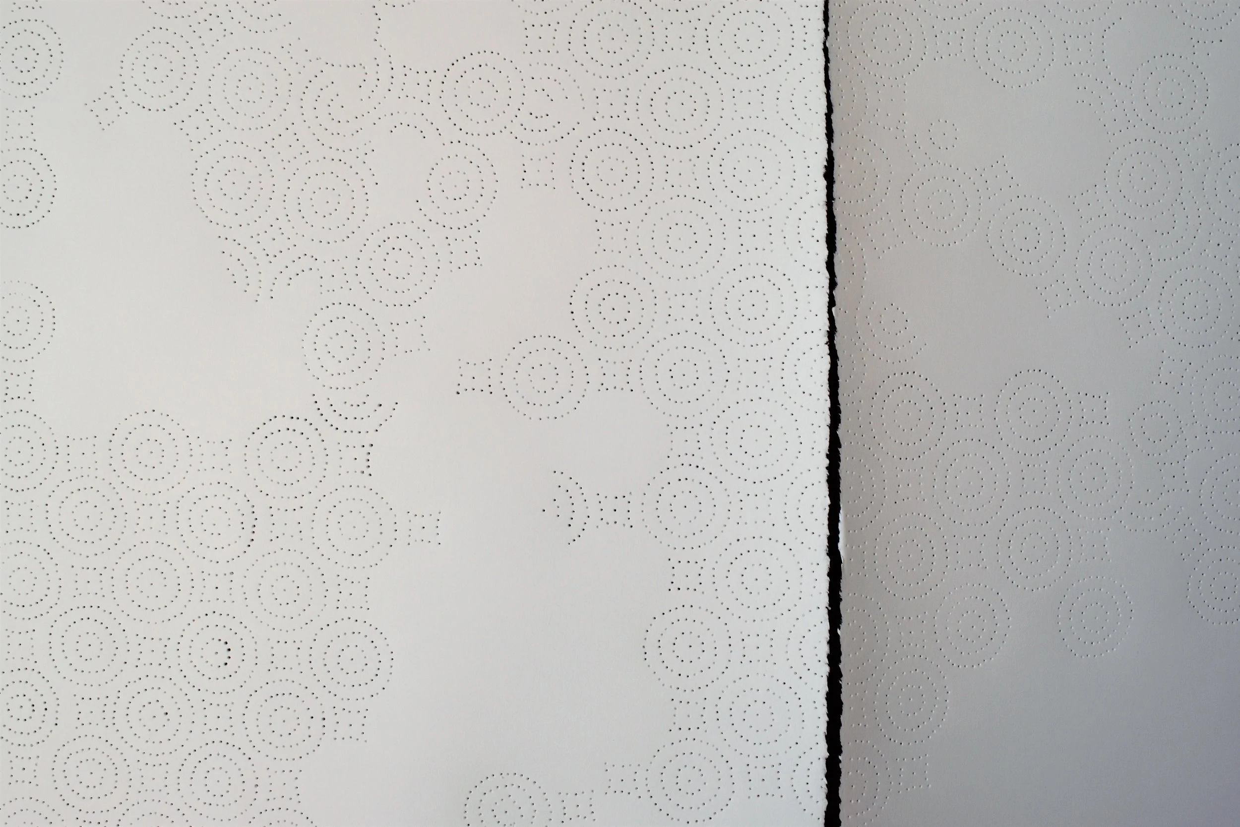 Paper towel Sky 5.JPG