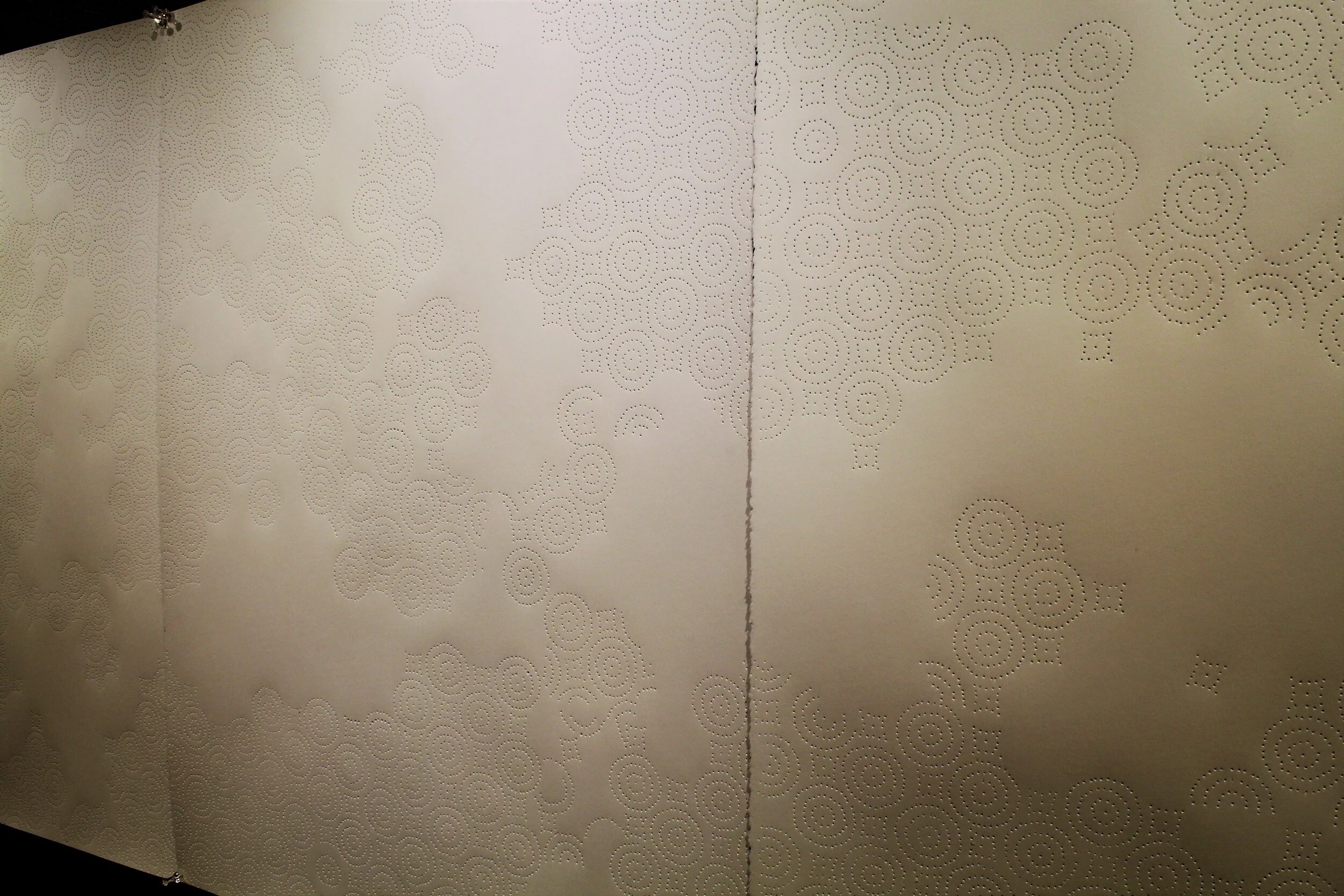 Install at Form and Concept1.JPG