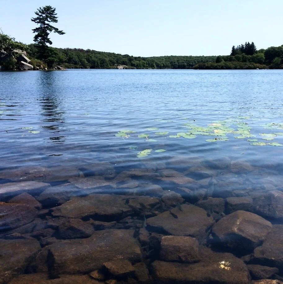 Monday, March 9, 2020