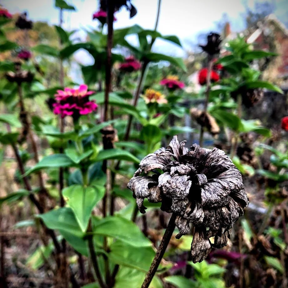 Monday, April 27, 2020