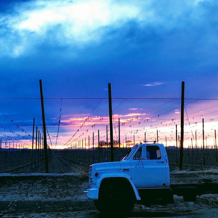 Monday, April 13, 2020