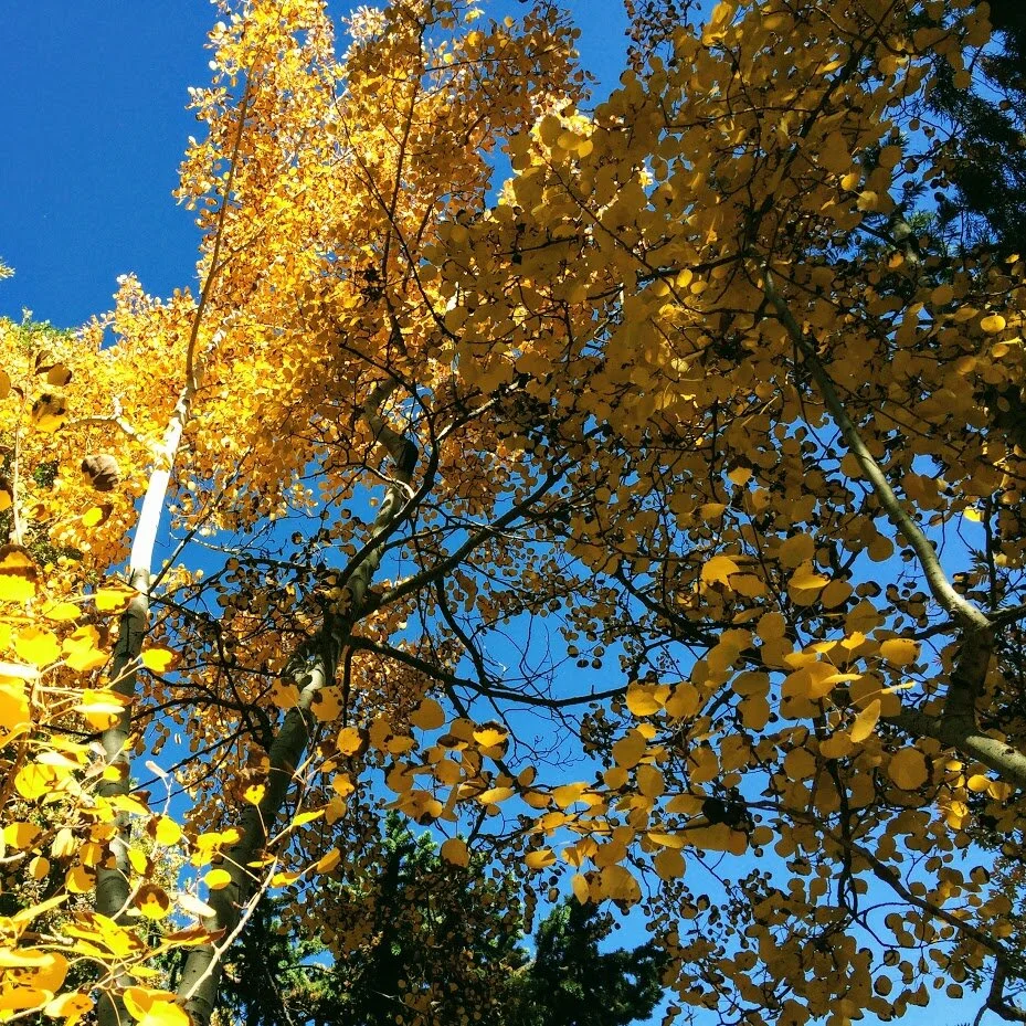 Tuesday, June 2, 2020