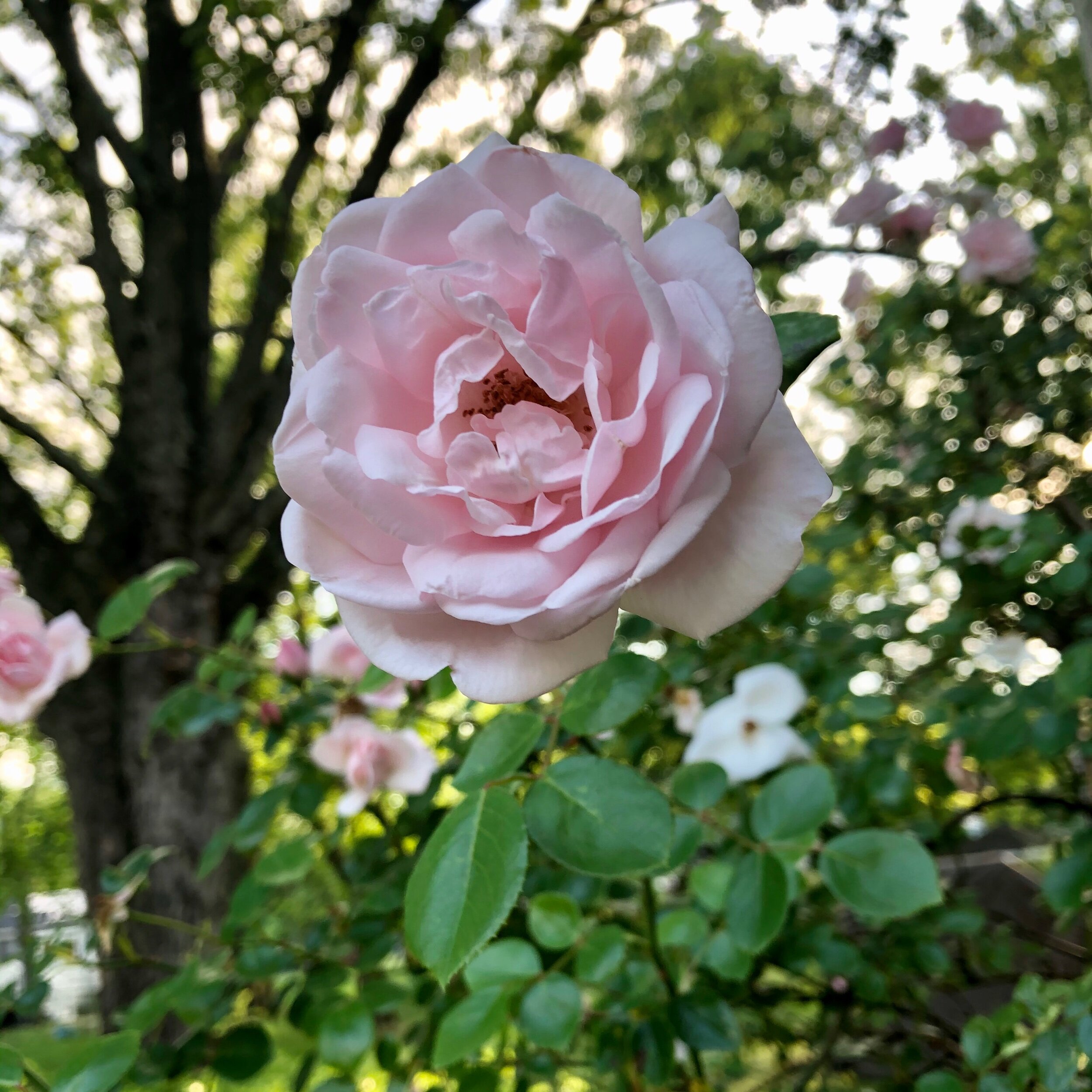 Monday, September 14, 2020