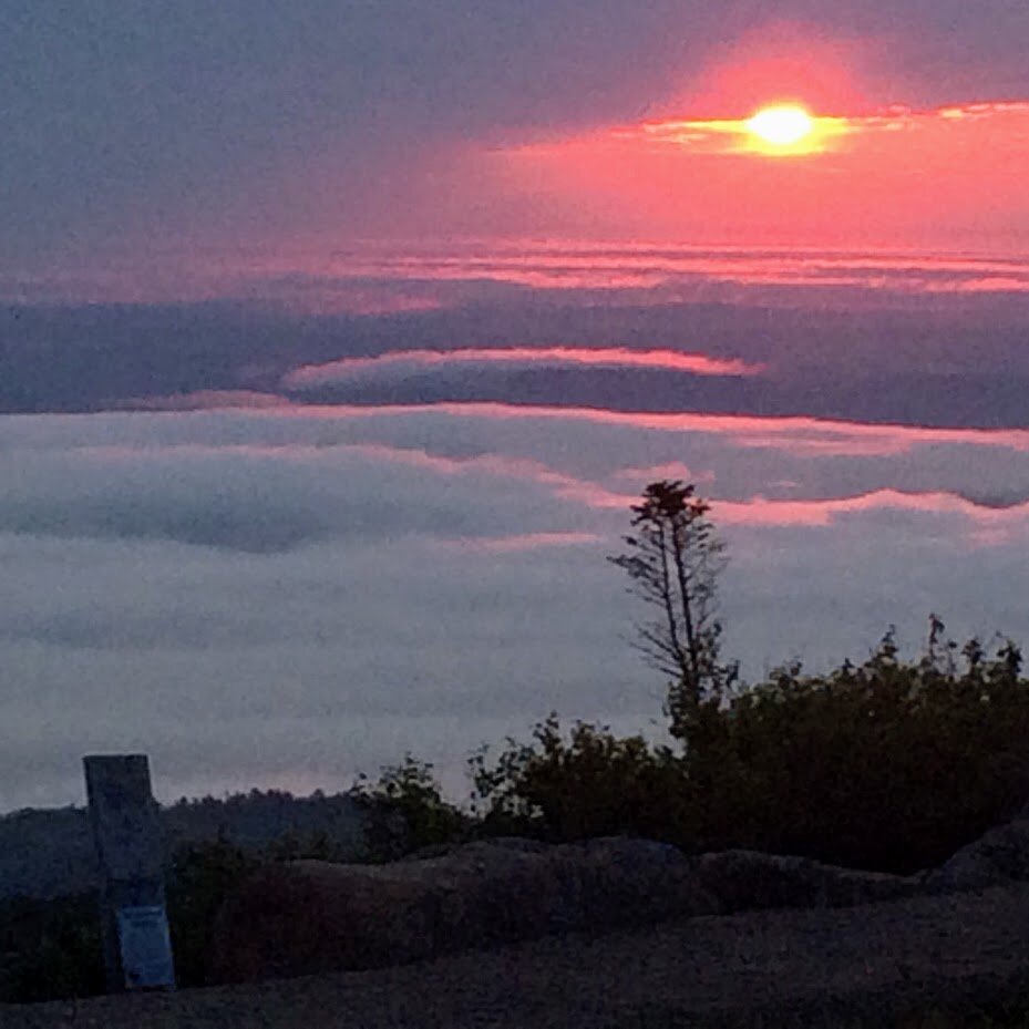 Monday, December 28, 2020