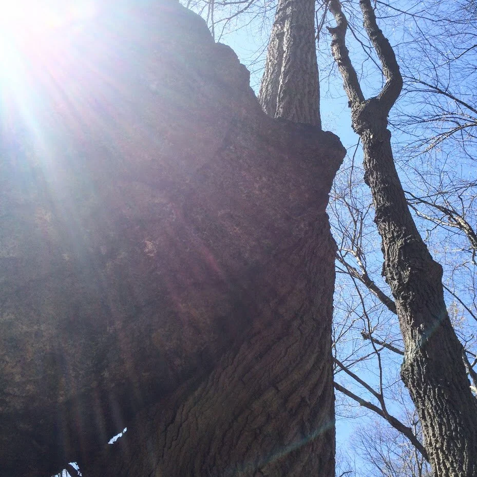 Monday, January 25, 2021