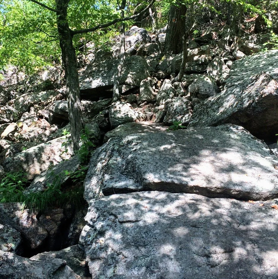 Monday, March 1, 2021