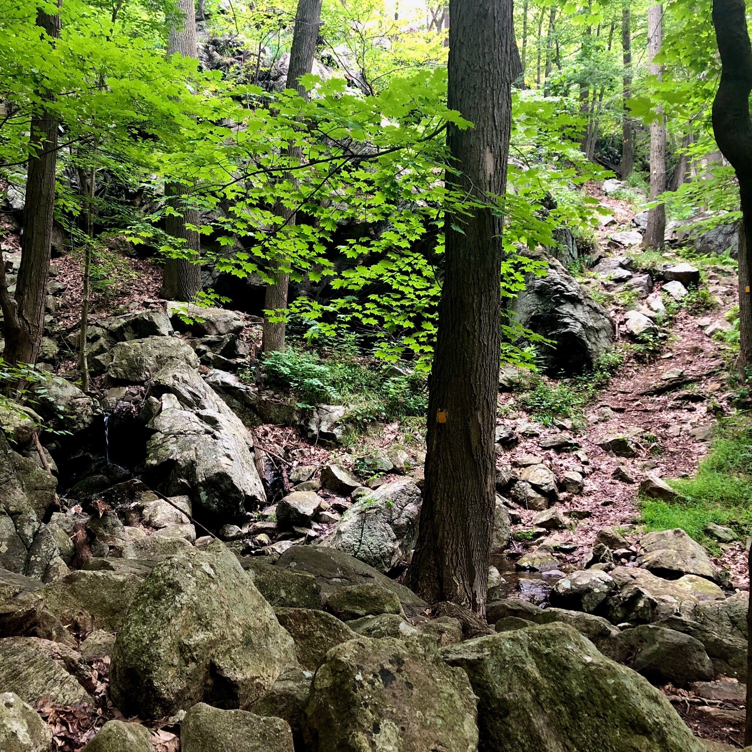 Monday, August 2, 2021