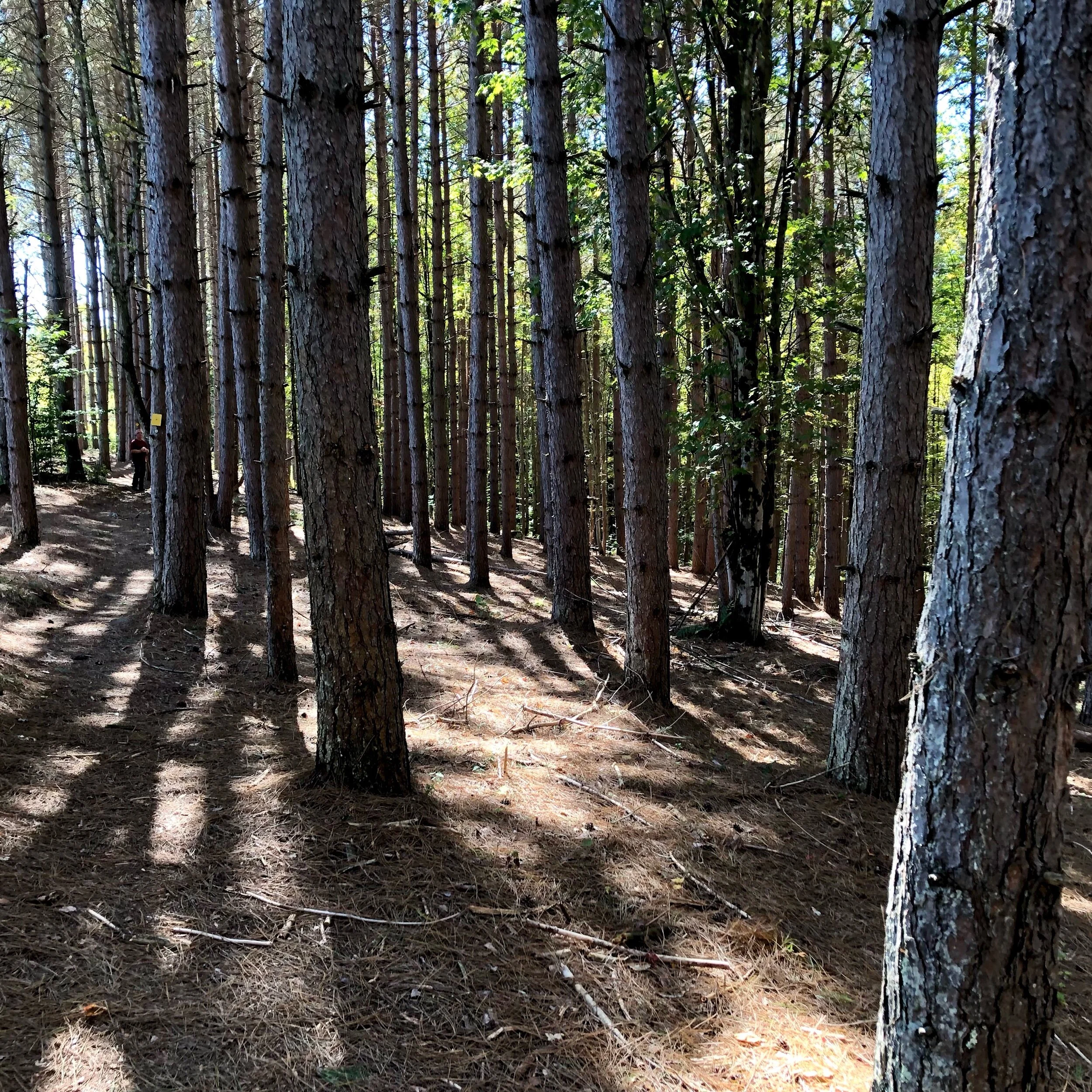 Monday, September 20, 2021