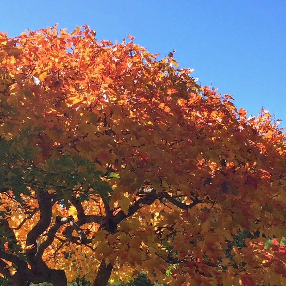 Monday, October 18, 2021