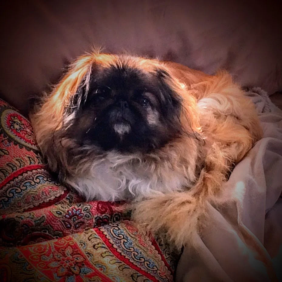 Monday, February 14, 2022