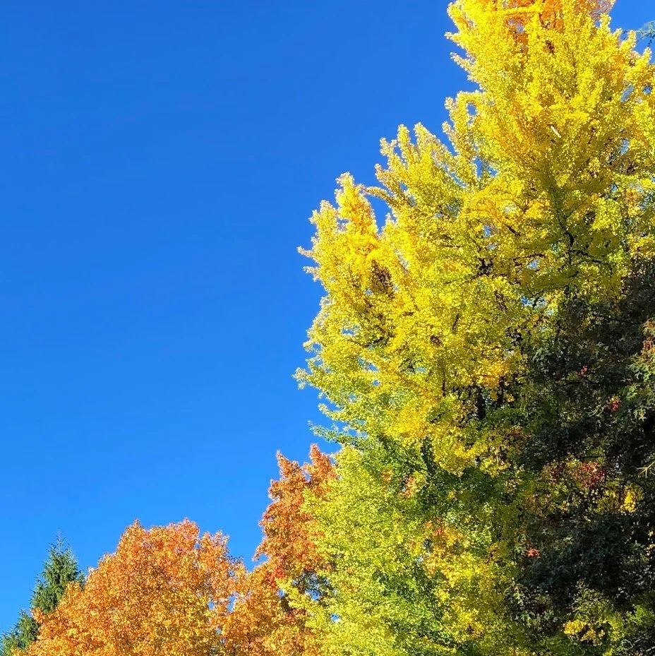 Monday, February 28, 2022