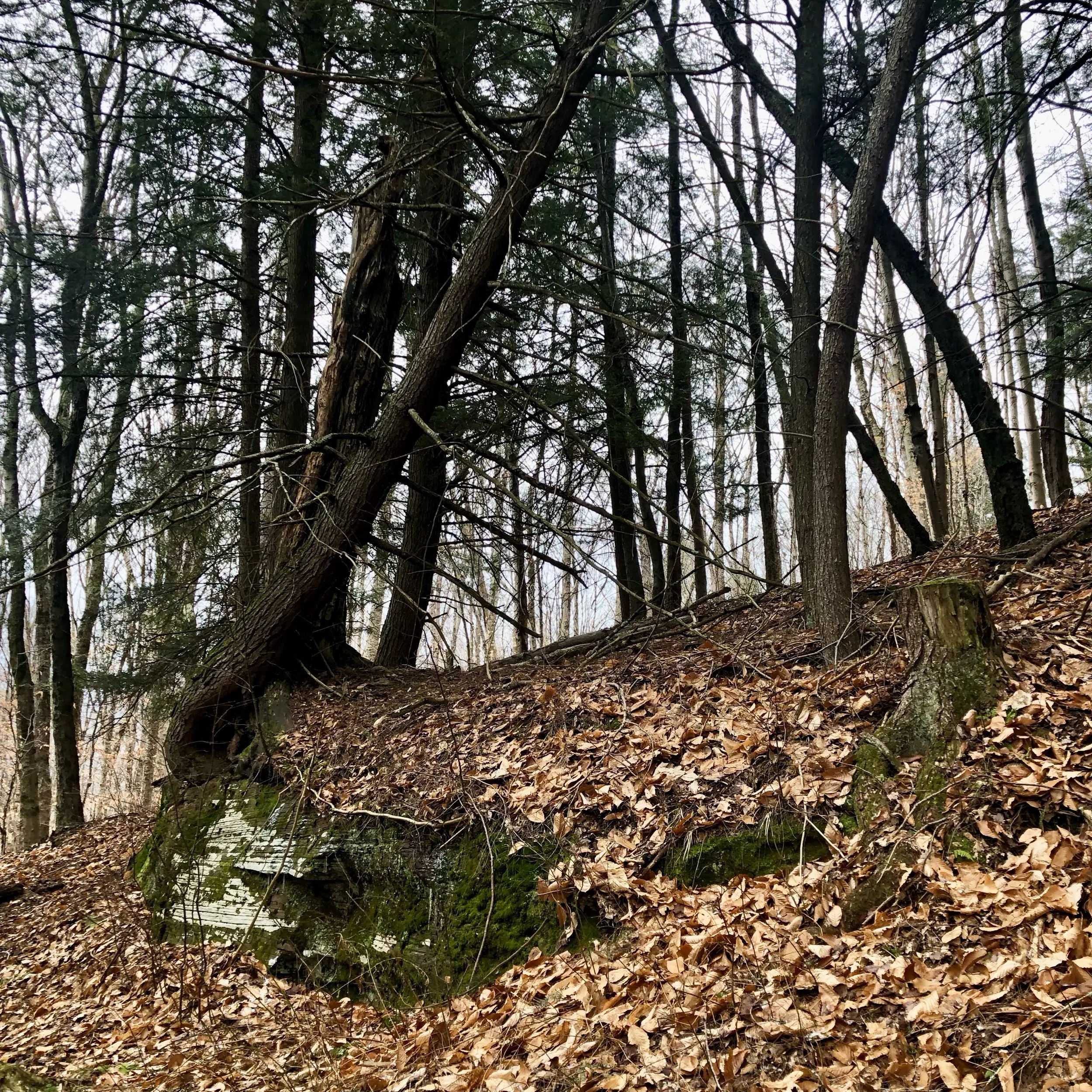 Tuesday, February 21, 2023