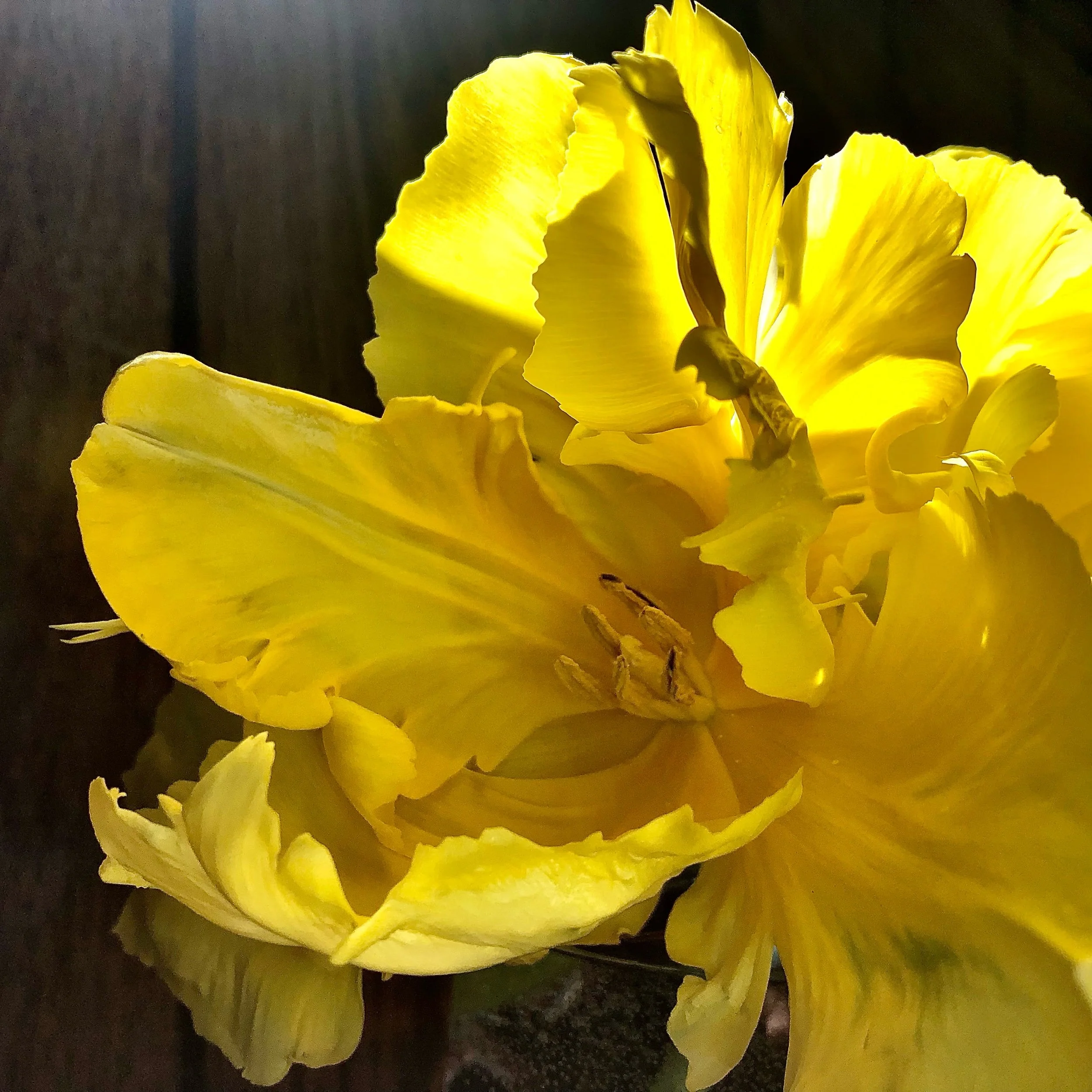 Monday, April 3, 2023