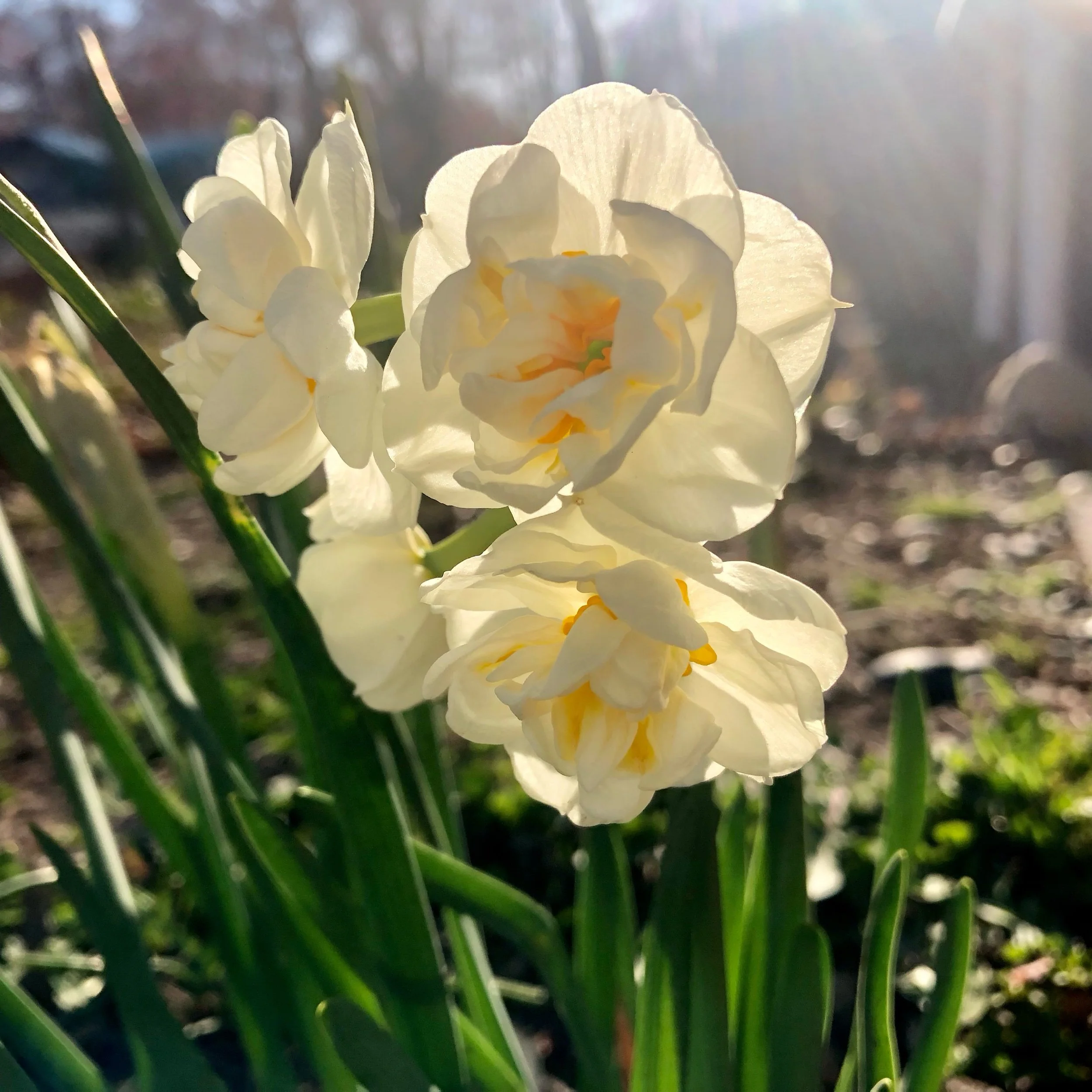 Monday, April 10, 2023