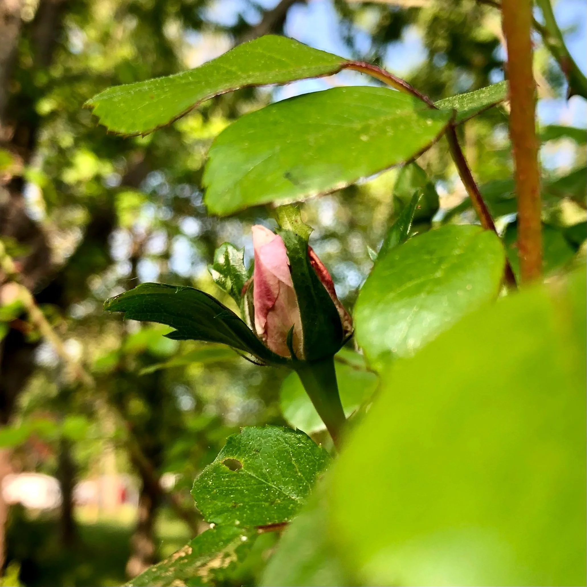 Monday, May 15, 2023