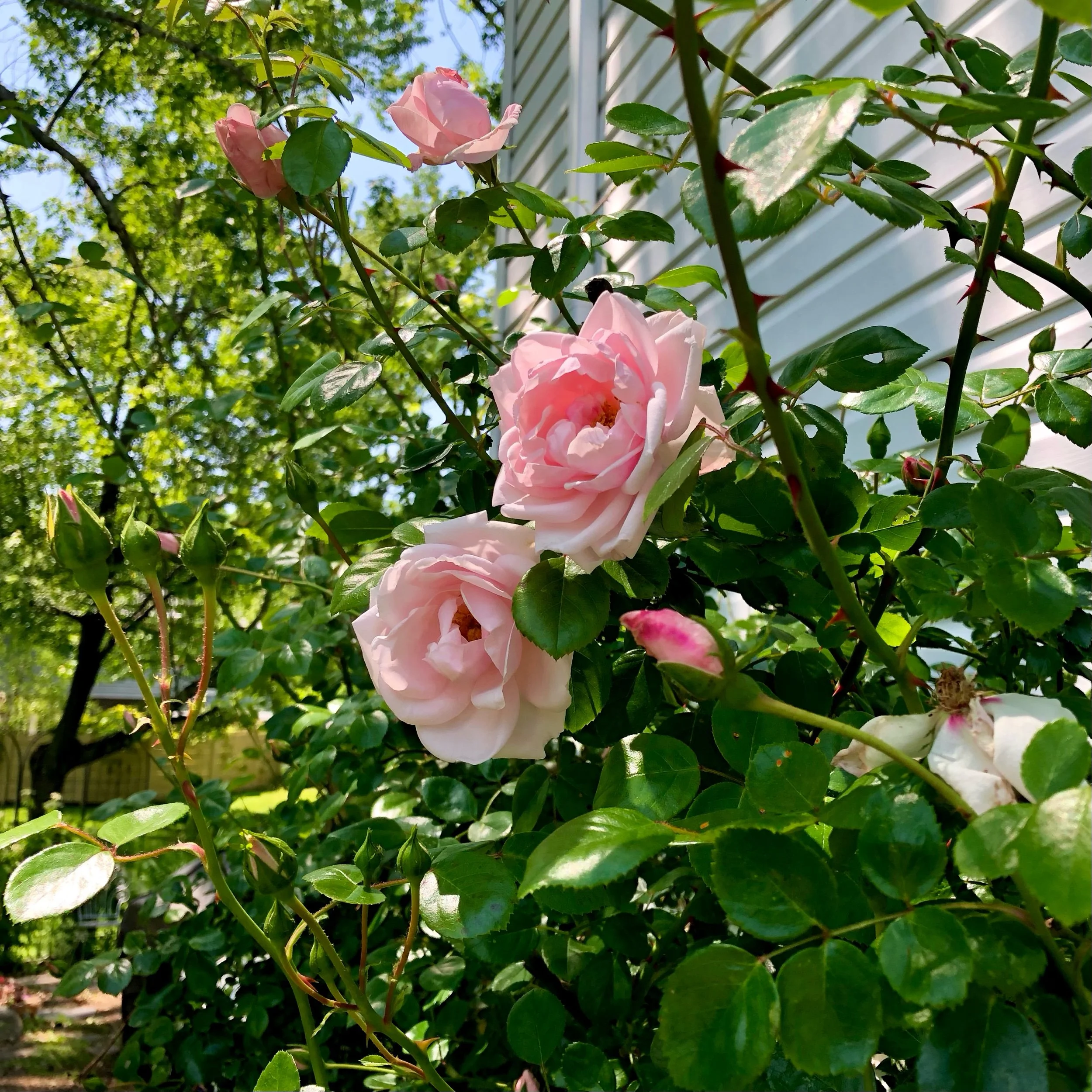 Wednesday, May 31, 2023