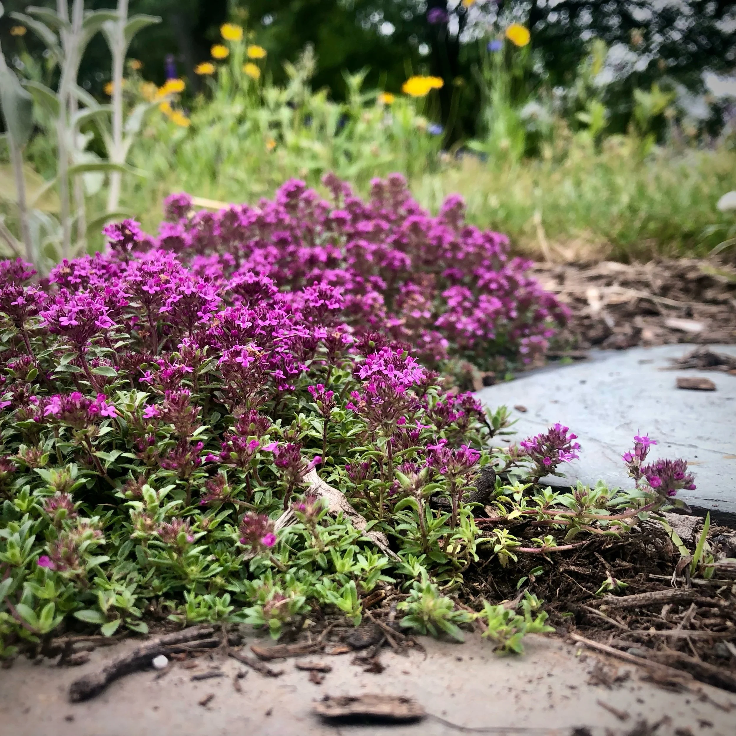 Monday, June 19, 2023