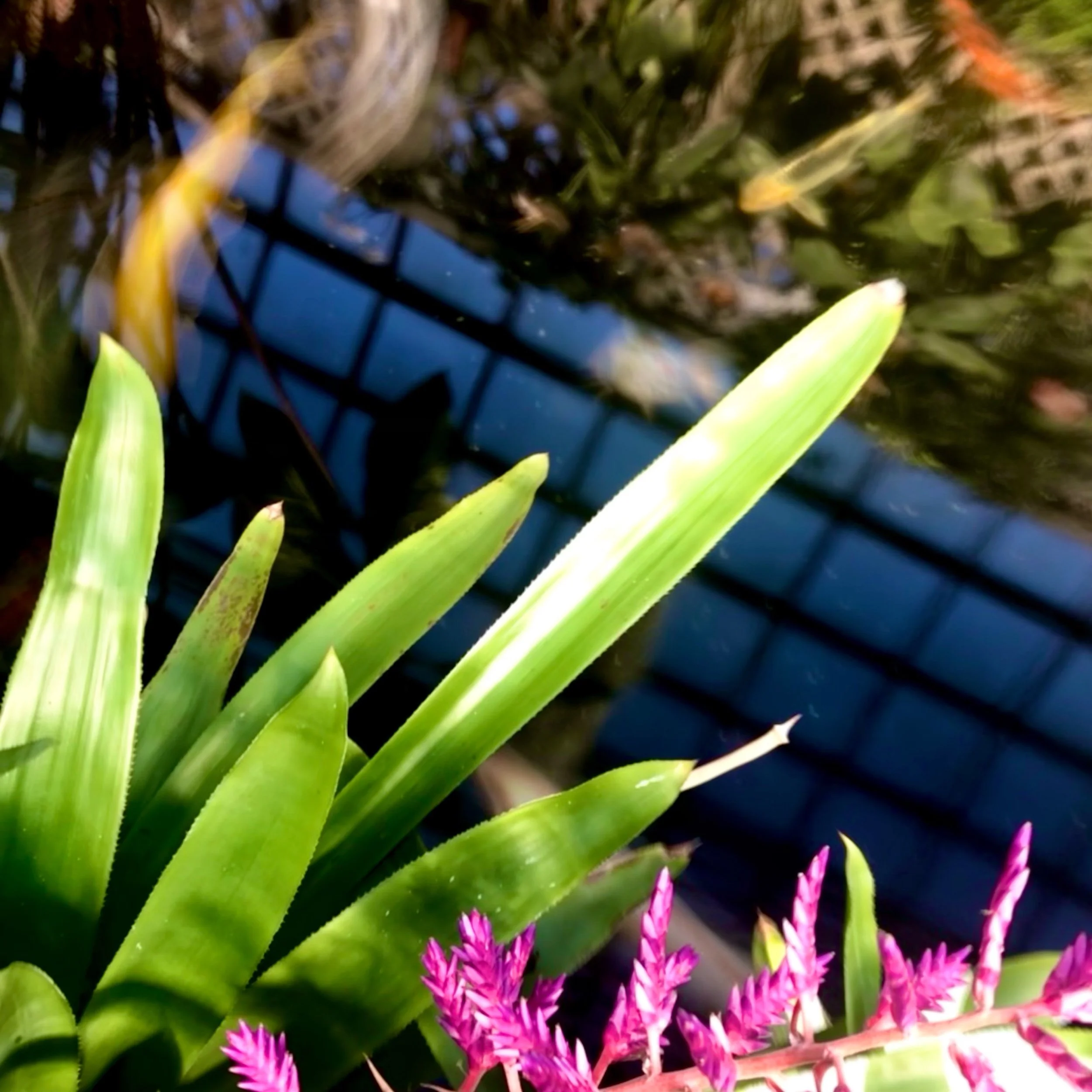 Monday, June 26, 2023