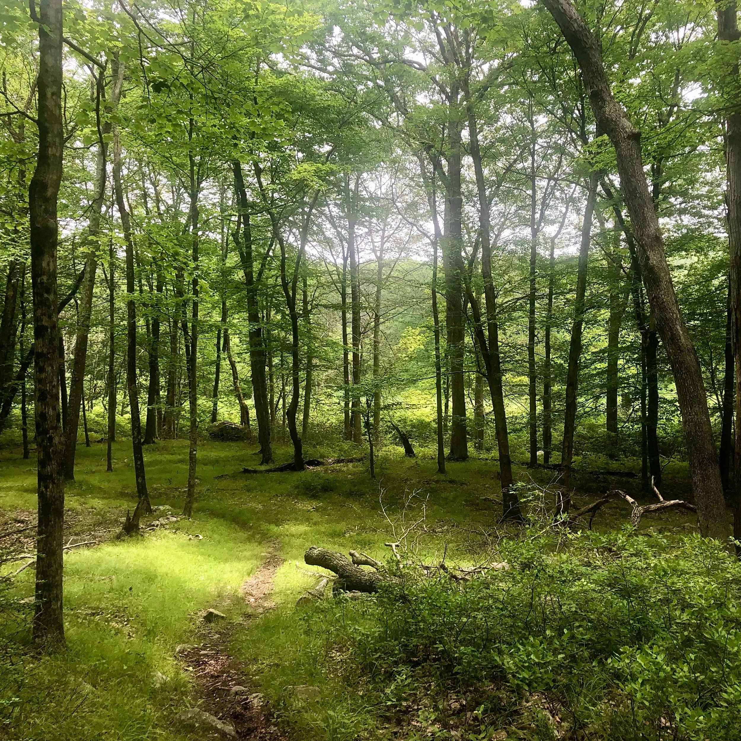 Wednesday, July 5, 2023