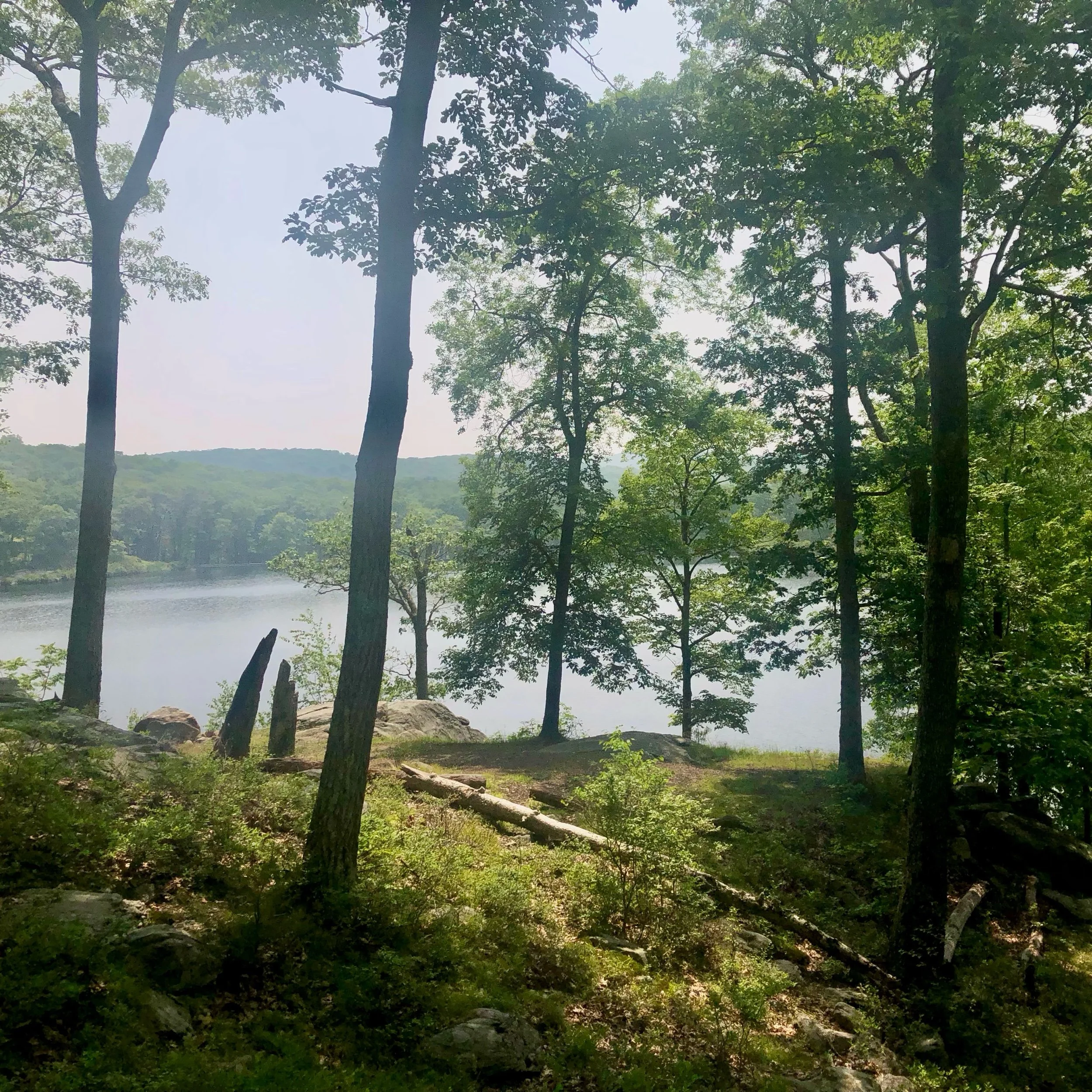 Monday, July 10, 2023