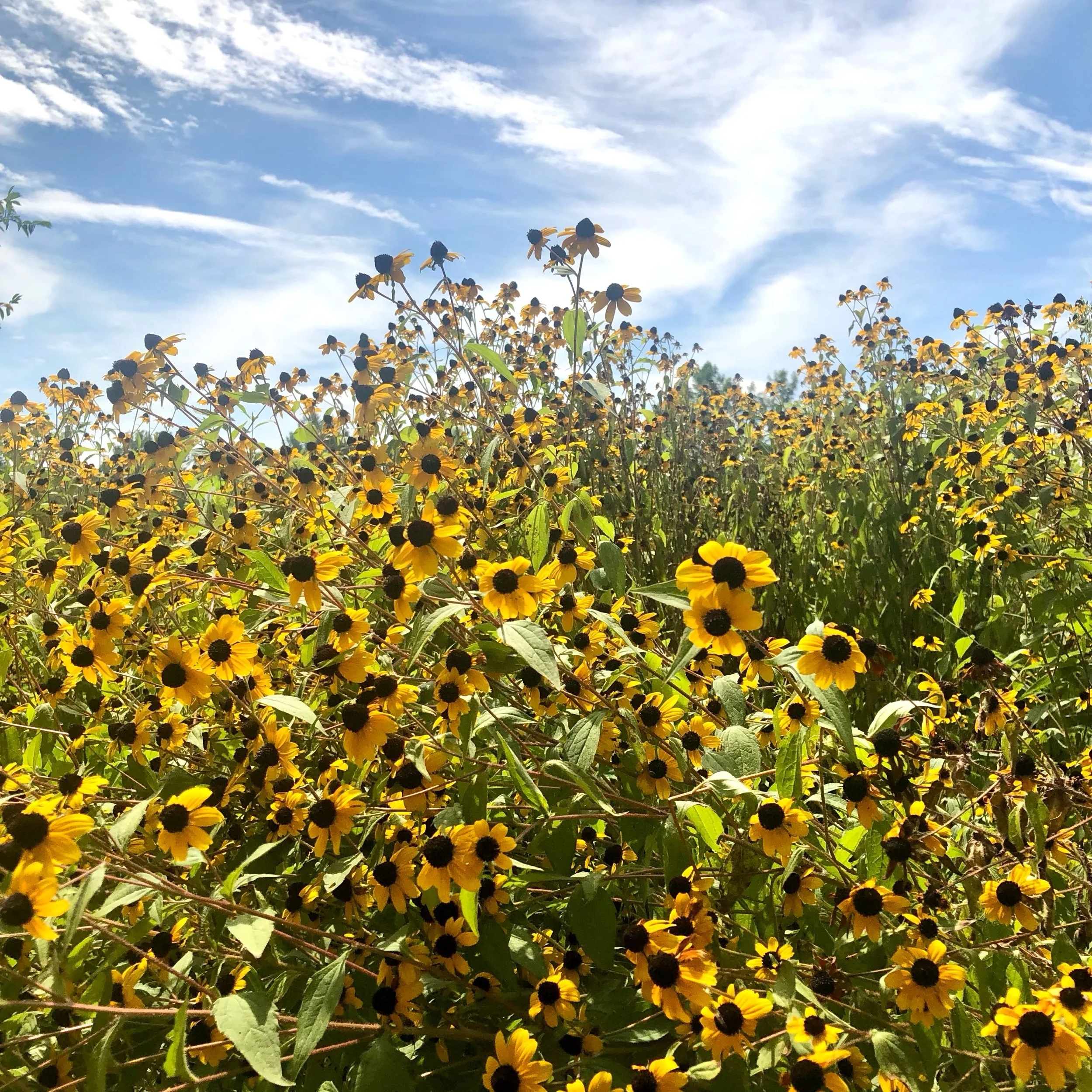 Monday, August 28, 2023