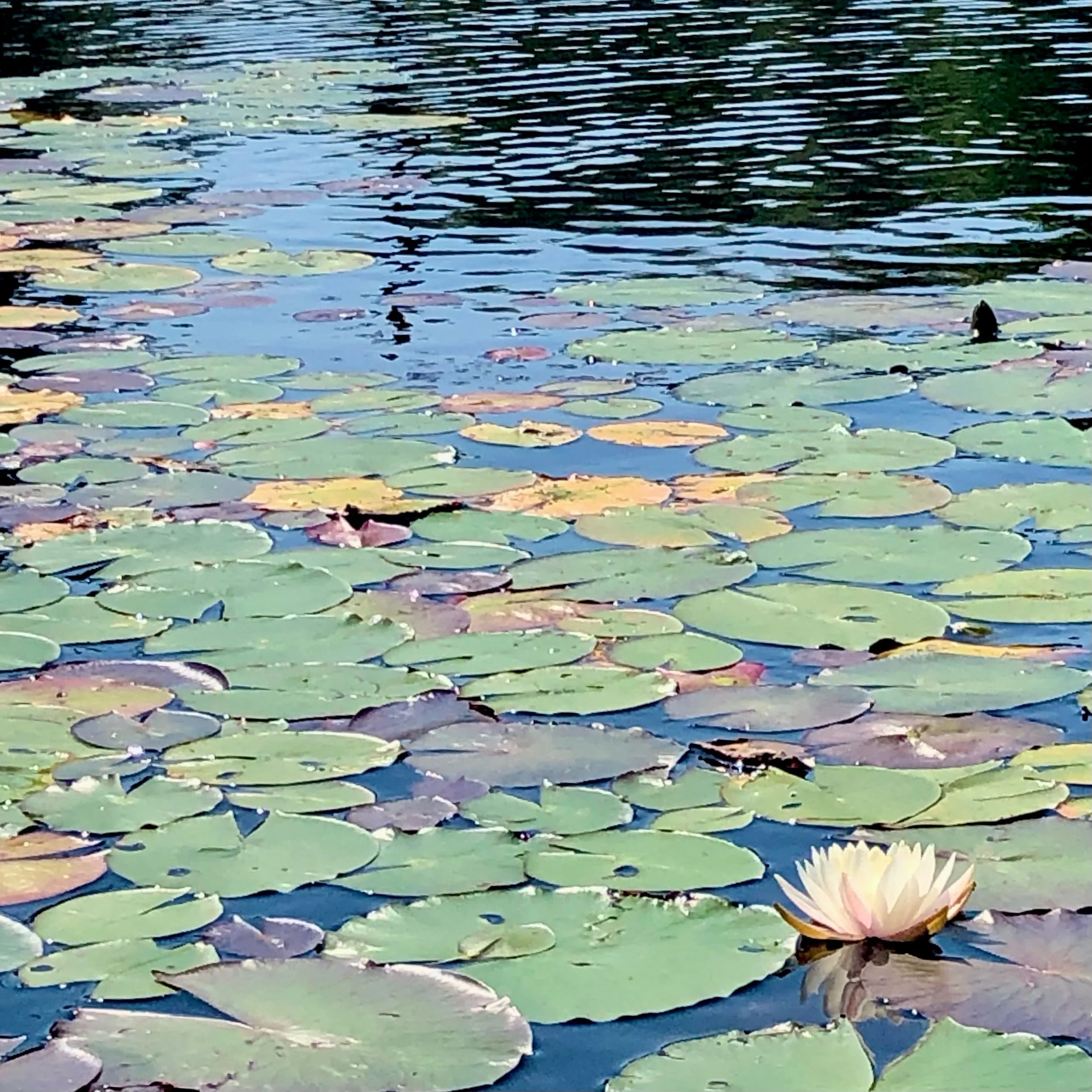 Tuesday, September 5, 2023