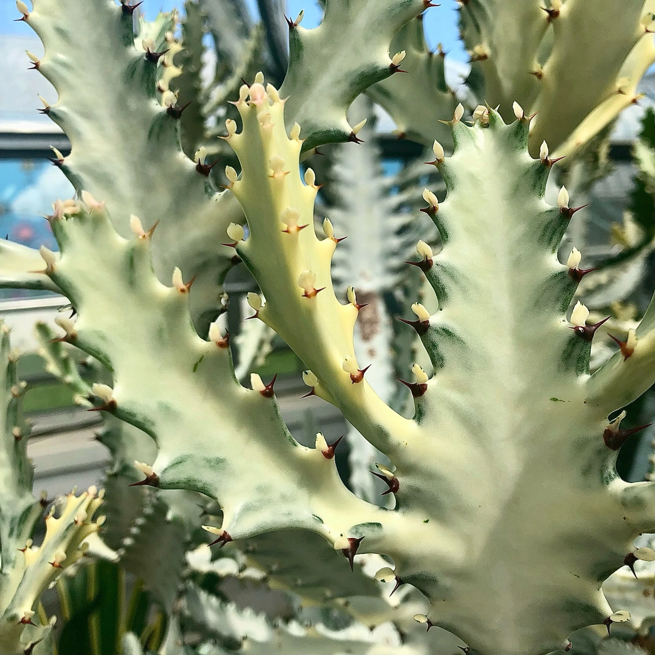 Monday, September 18, 2023