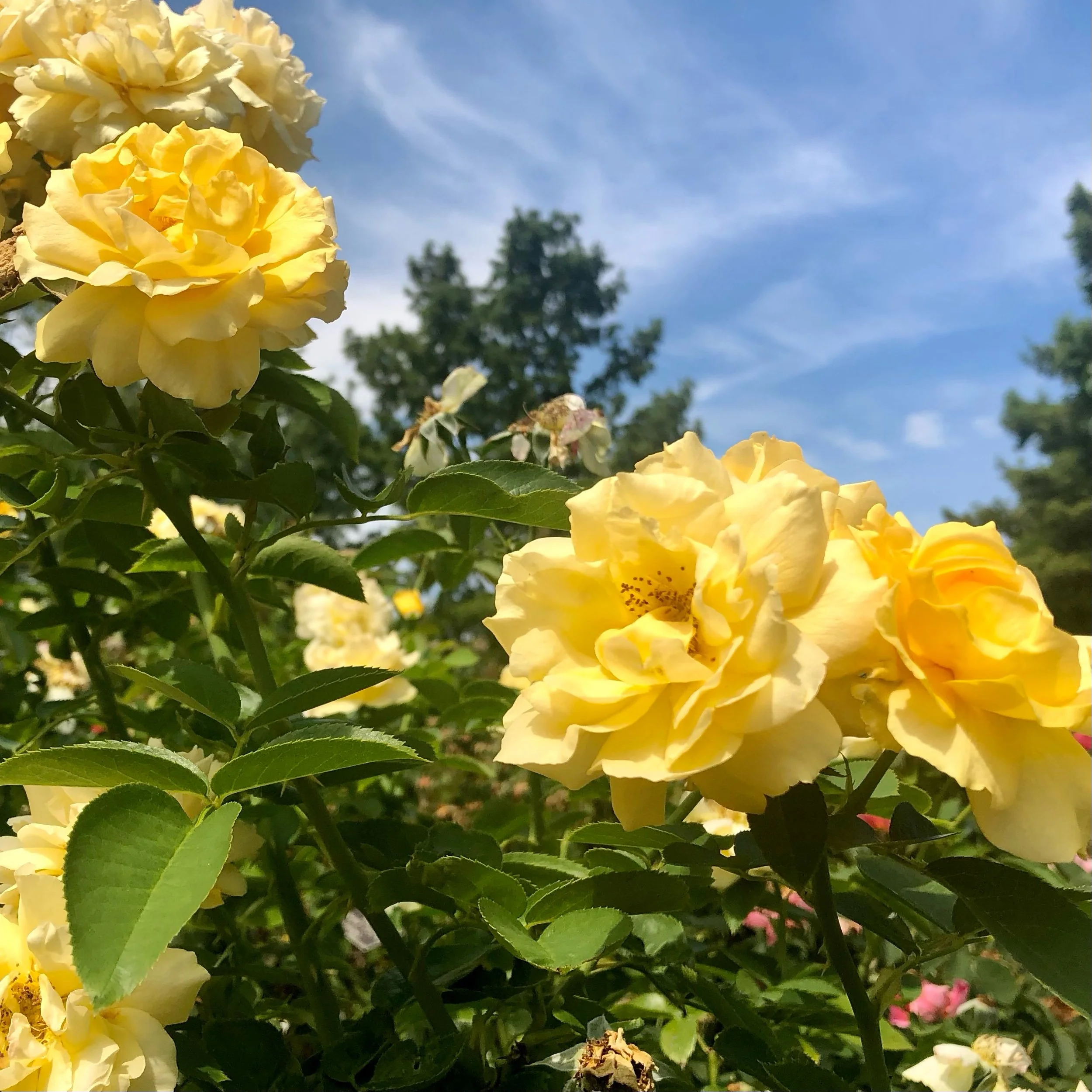 Monday, September 25, 2023