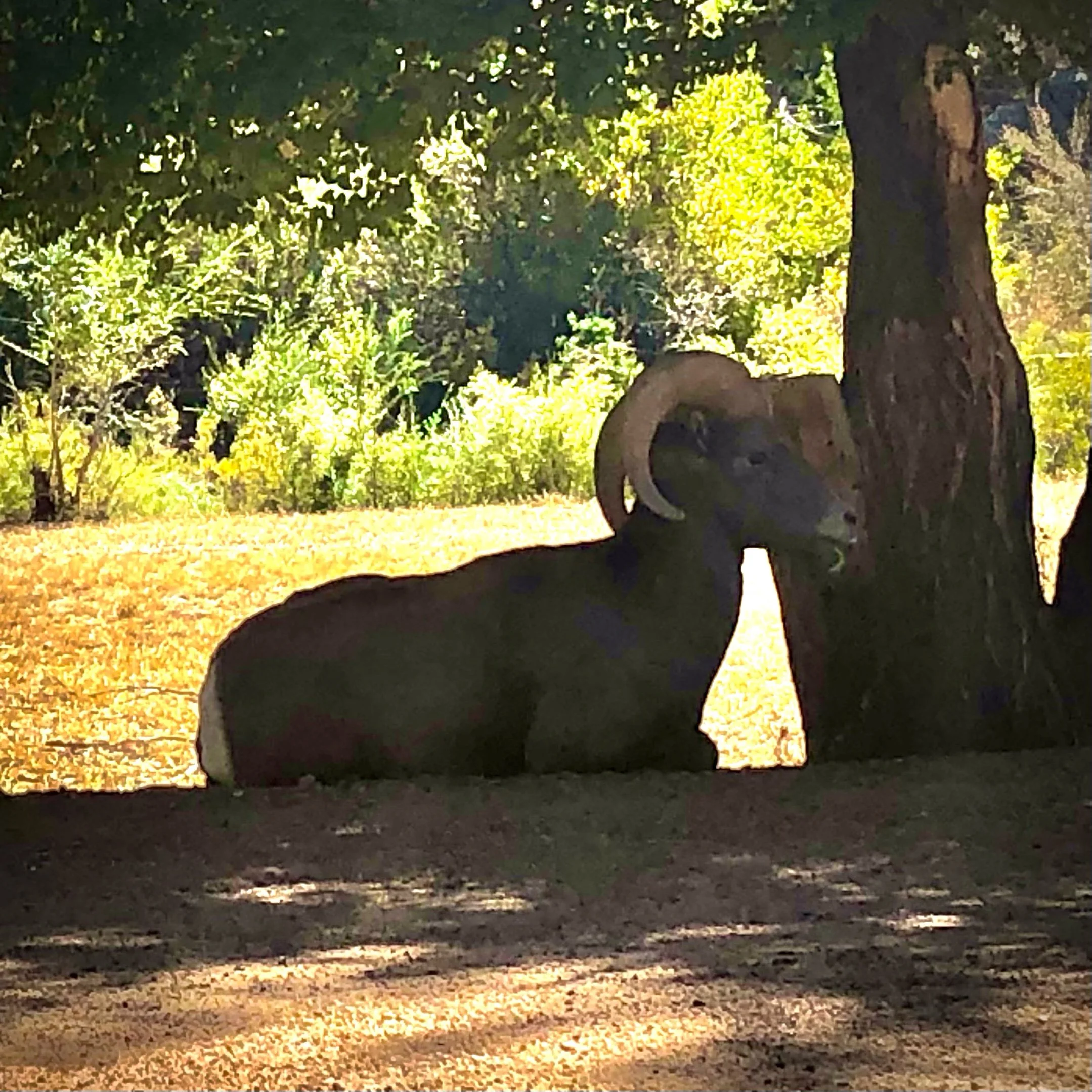 Monday, October 2, 2023