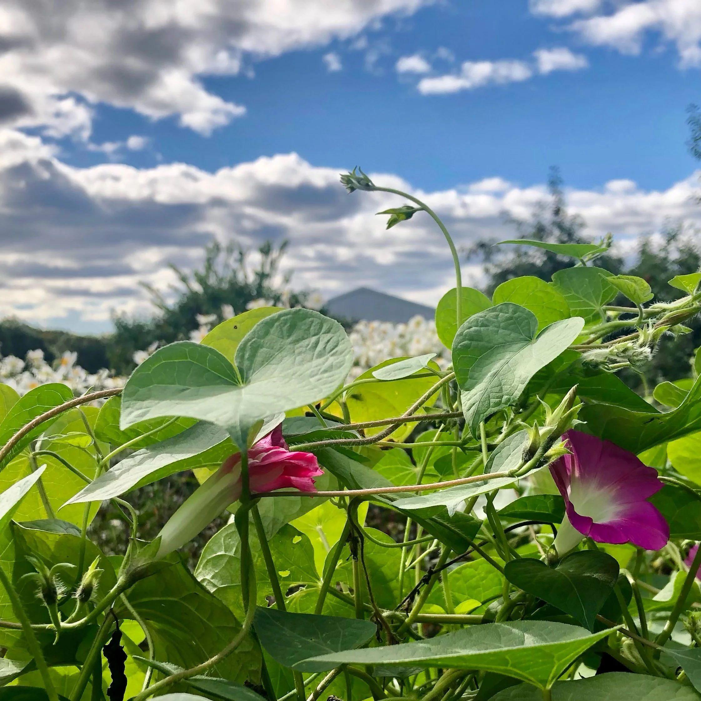 Monday, October 9, 2023