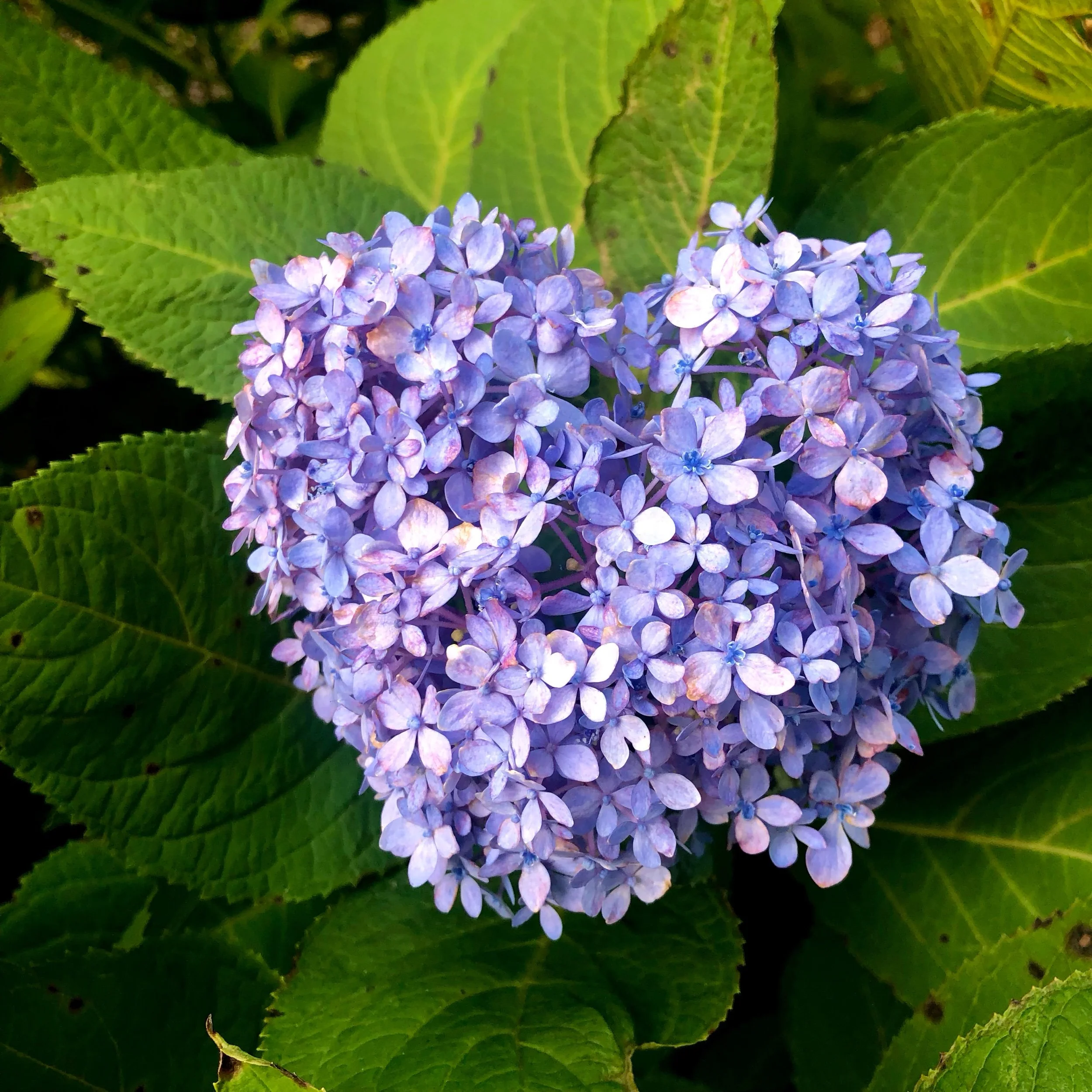 Monday, October 16, 2023