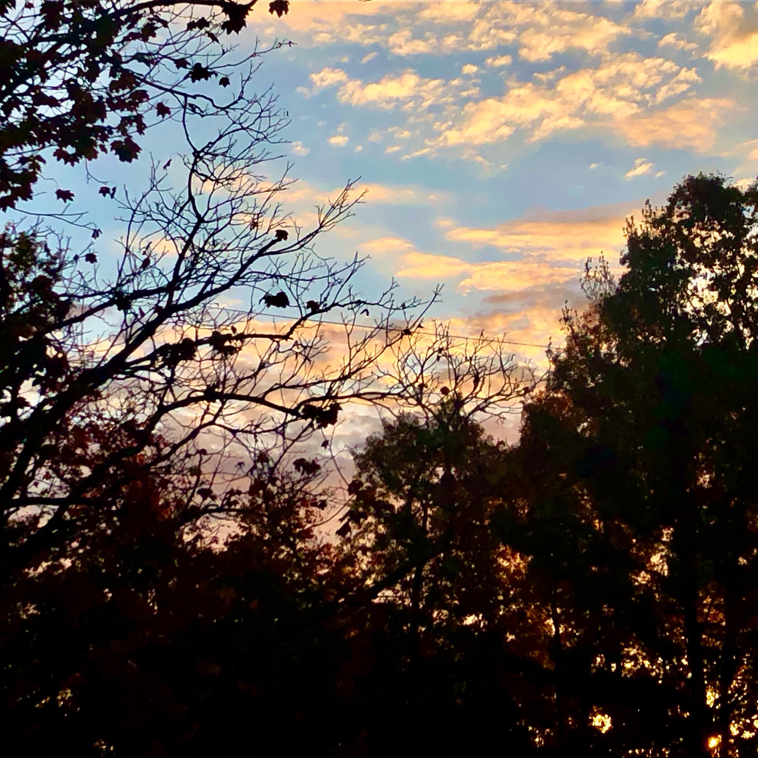 Monday, October 23, 2023