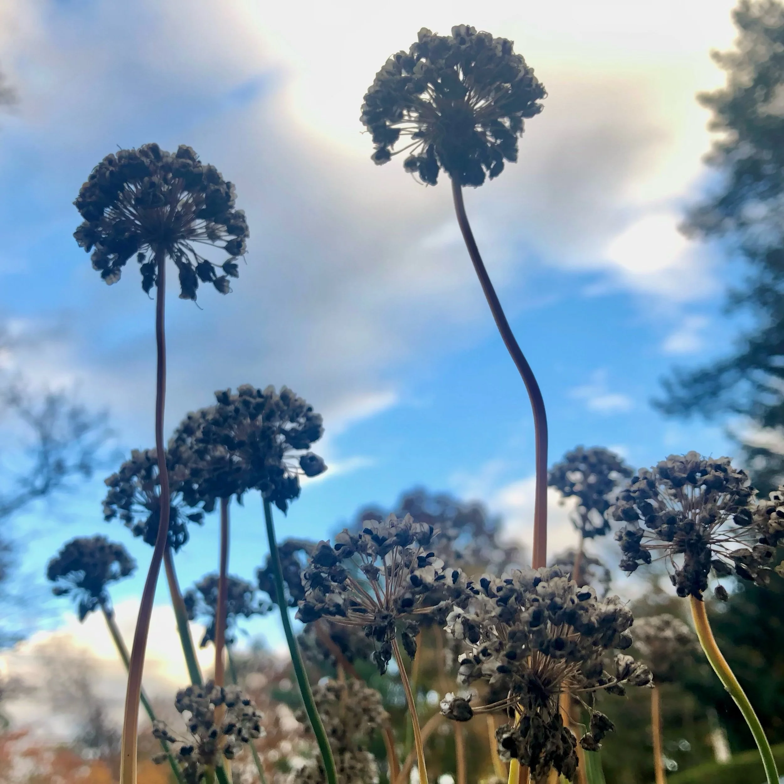 Monday, October 30, 2023