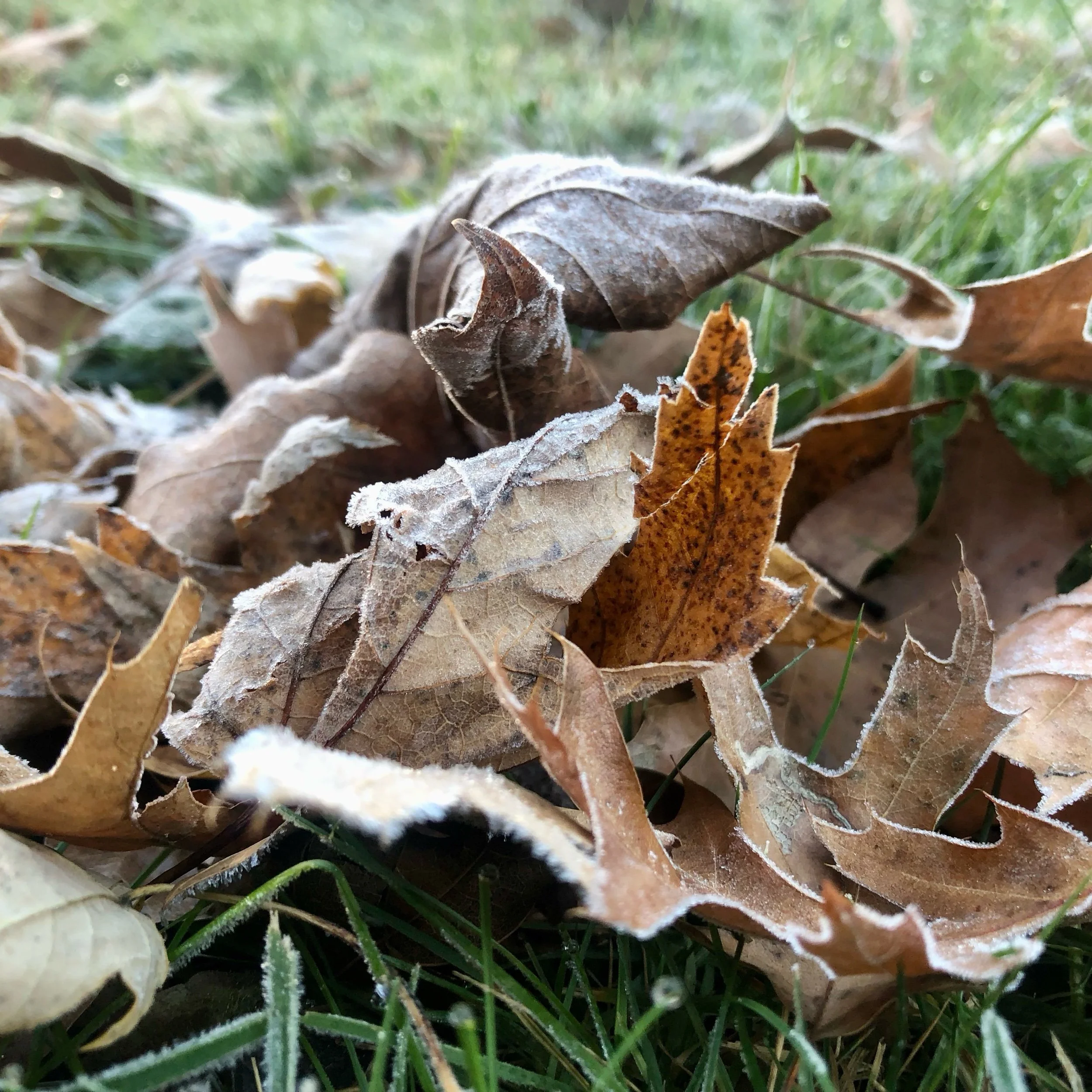 Tuesday, November 14, 2023