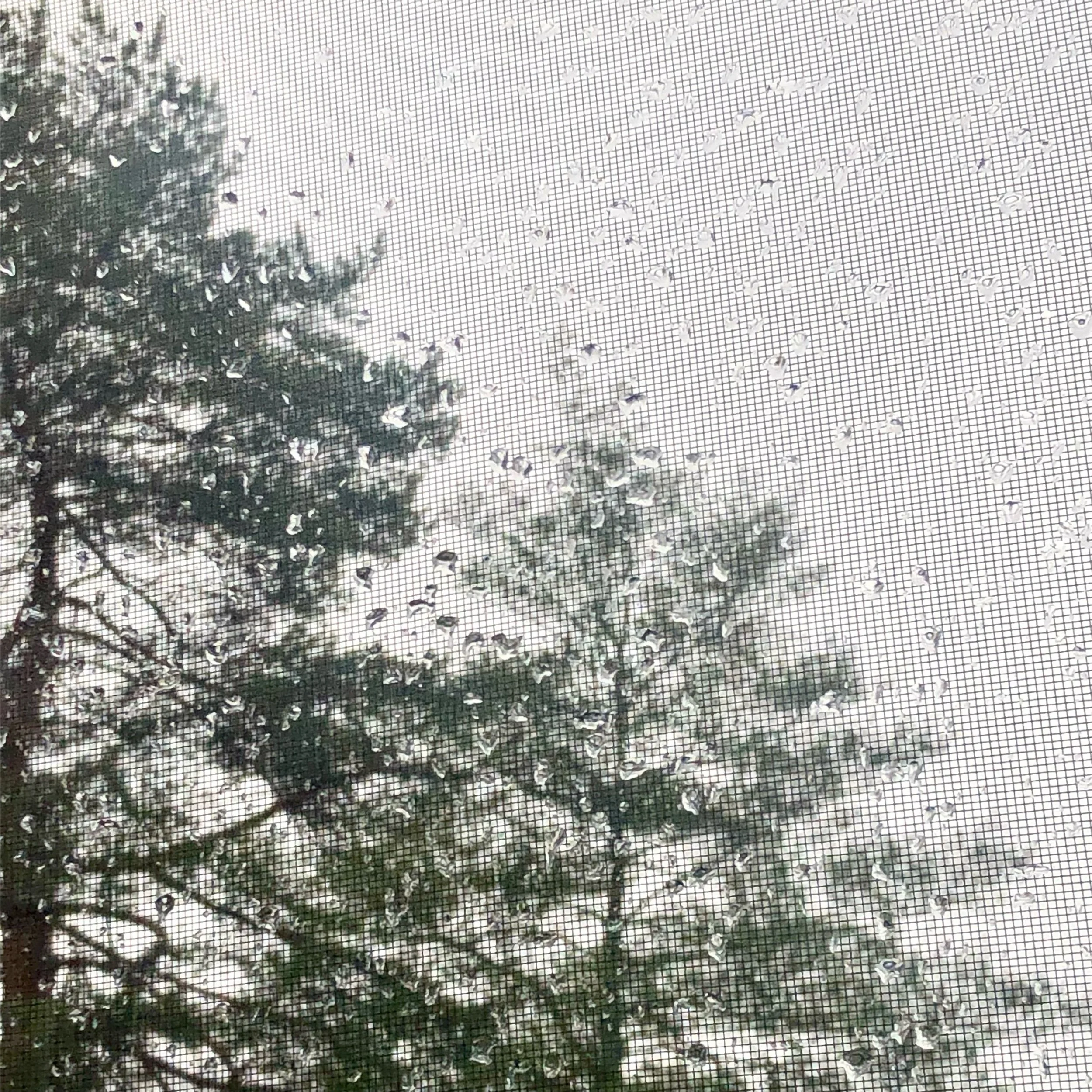 Monday, December 18, 2023