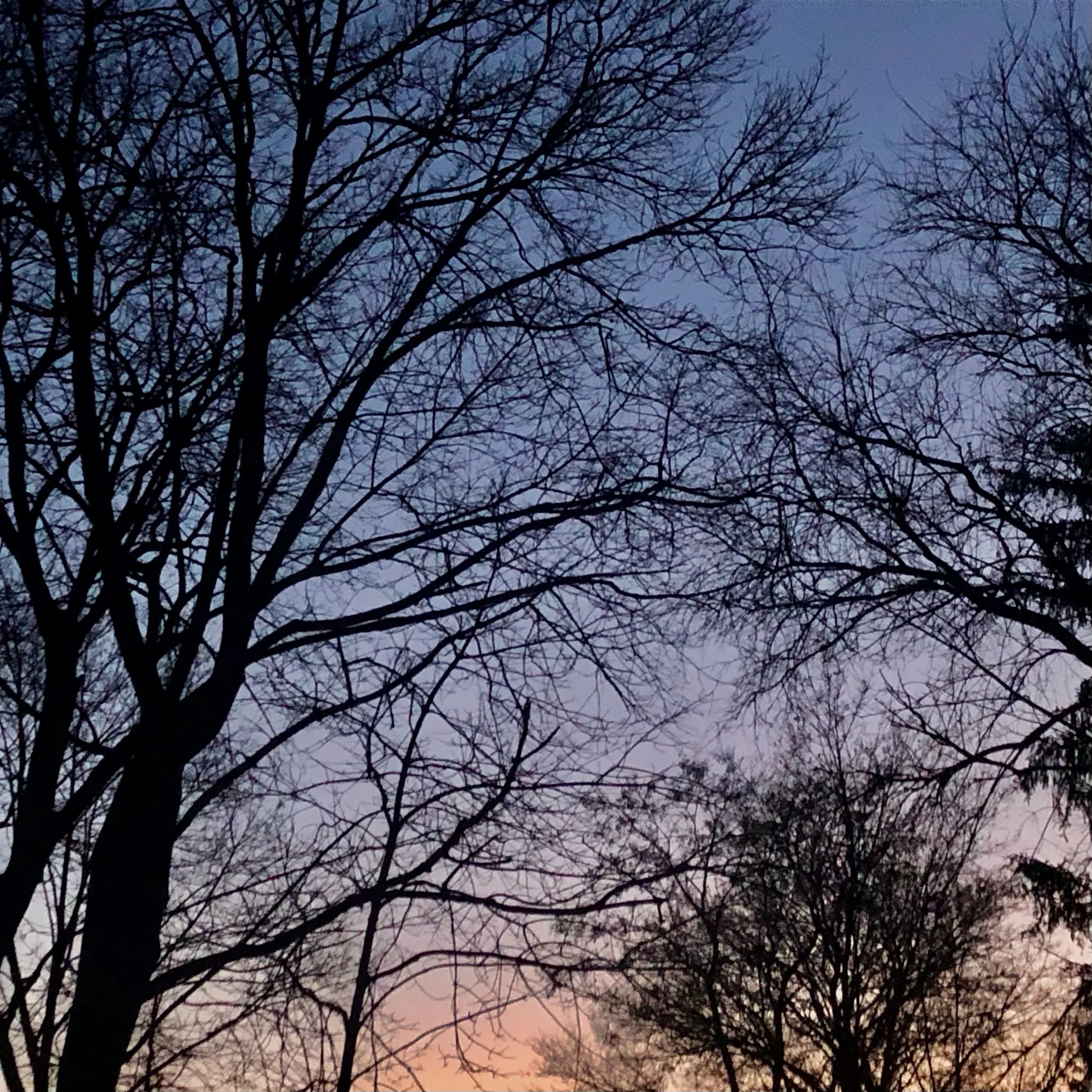 Monday, January 15, 2024