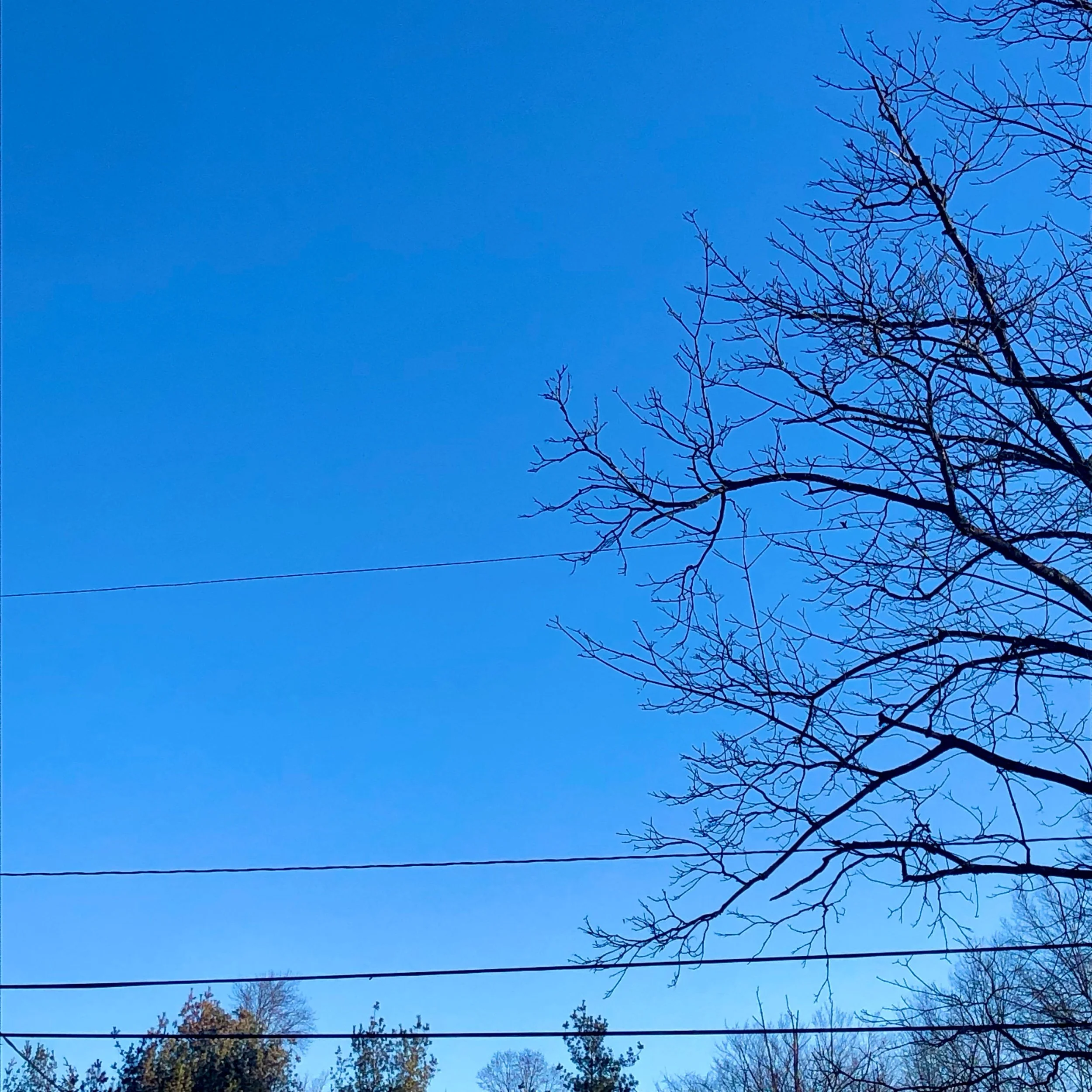 Monday, February 5, 2024