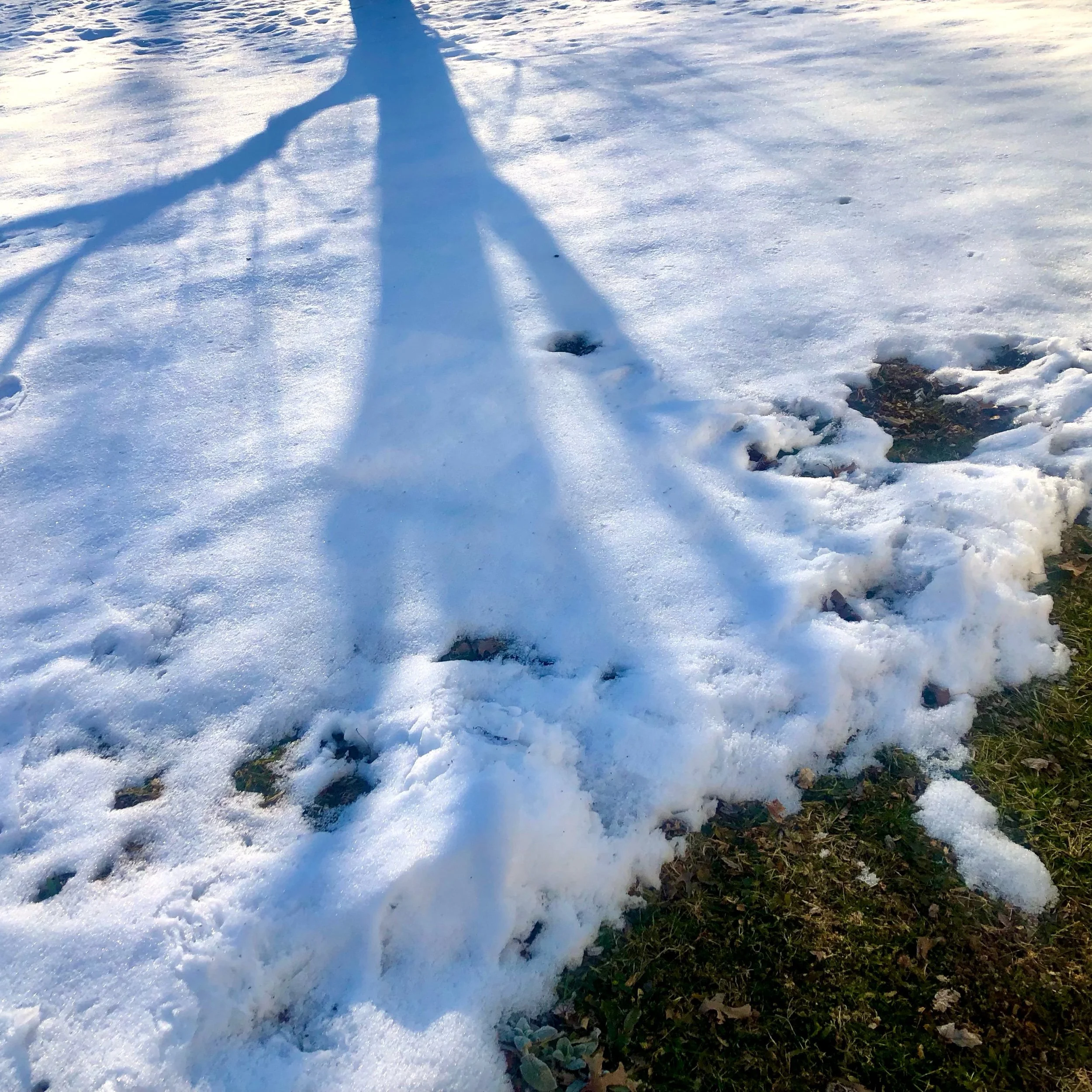 Monday, February 19, 2024