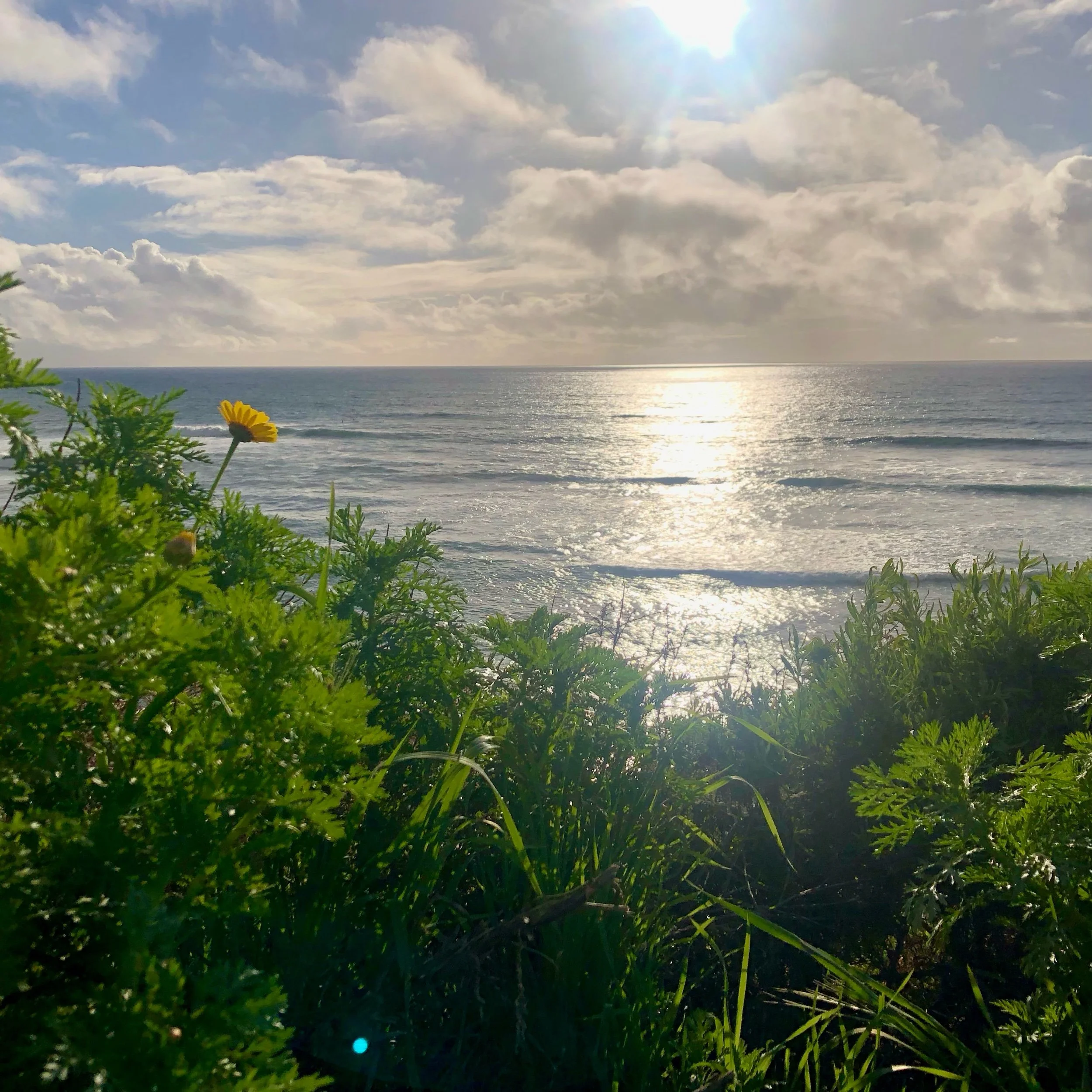 Monday, March 4, 2024