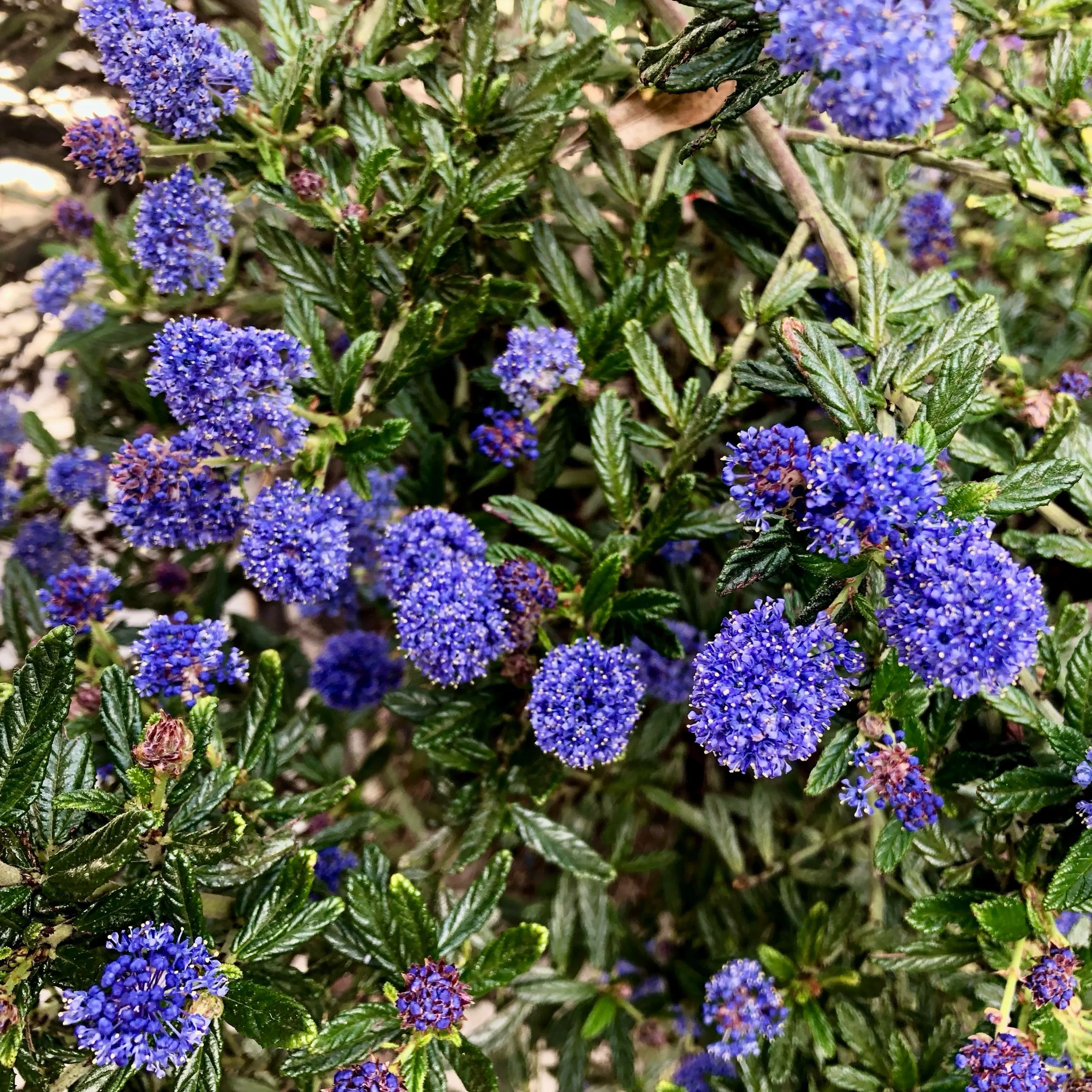 Monday, March 11, 2024