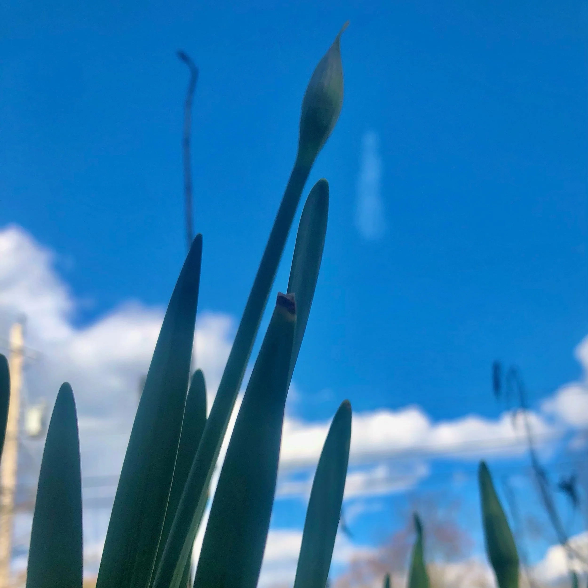 Monday, March 18, 2024