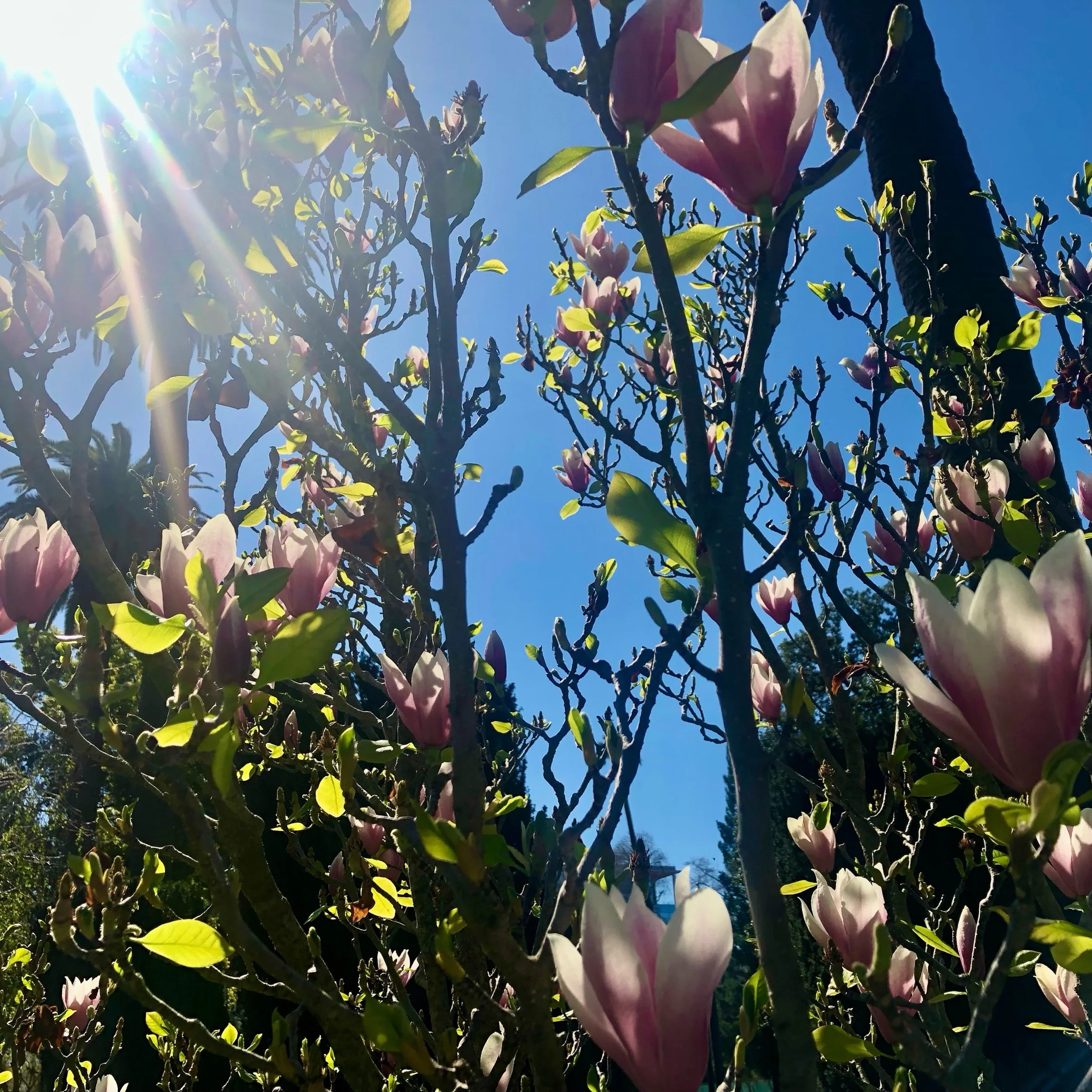 Monday, April 8, 2024