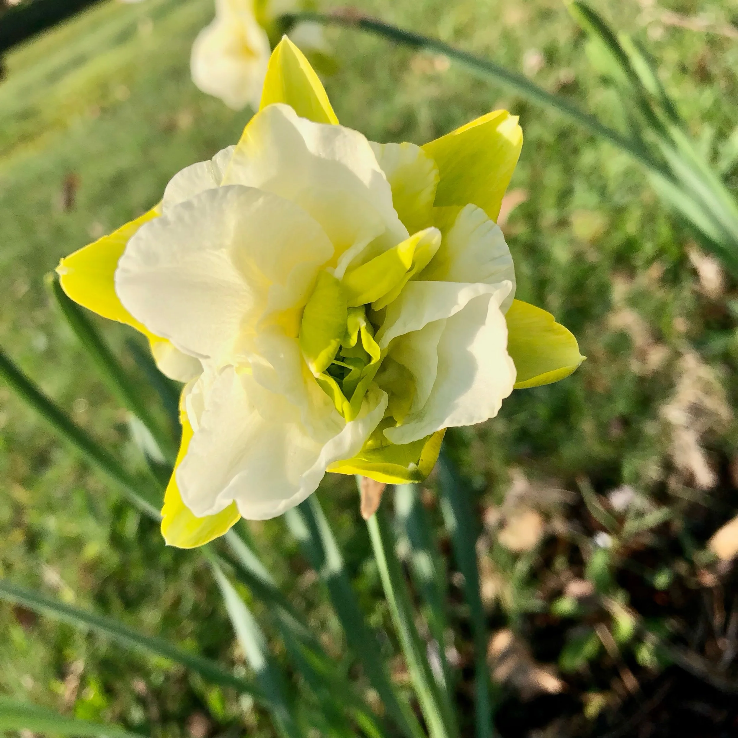 Monday, April 29, 2024